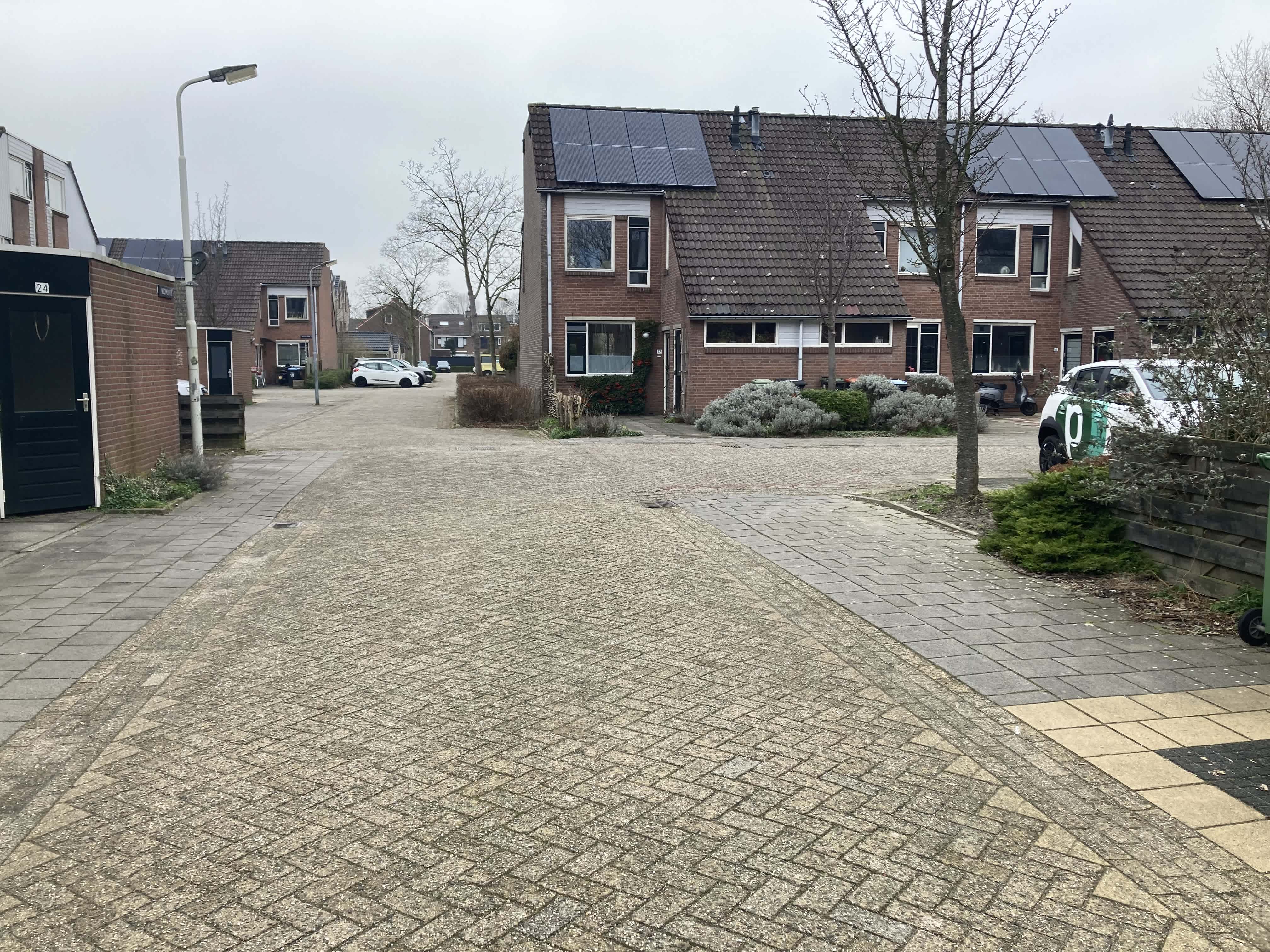 Boomland 3 - Koog aan de Zaan