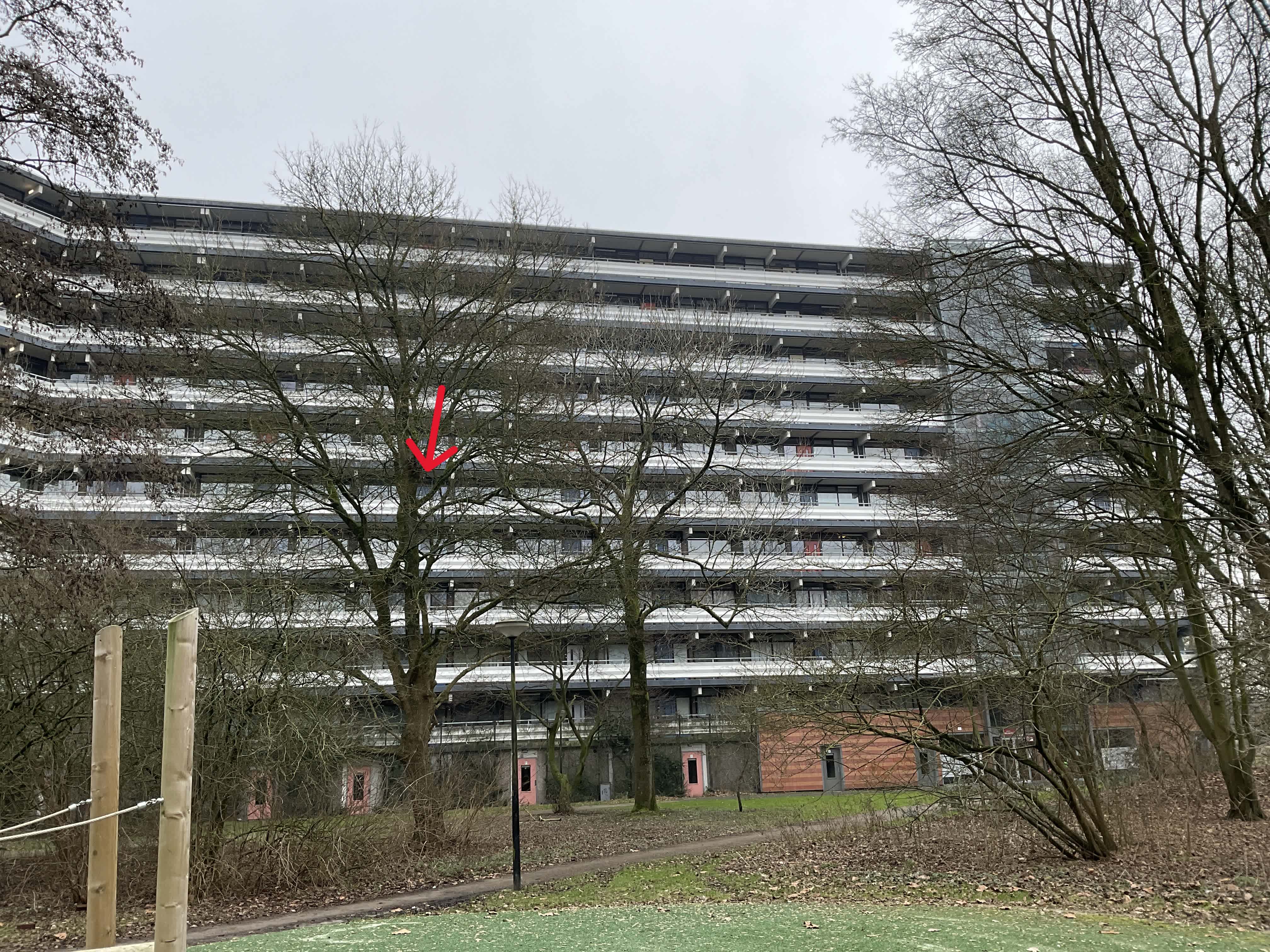 Huigenbos 435 - Amsterdam