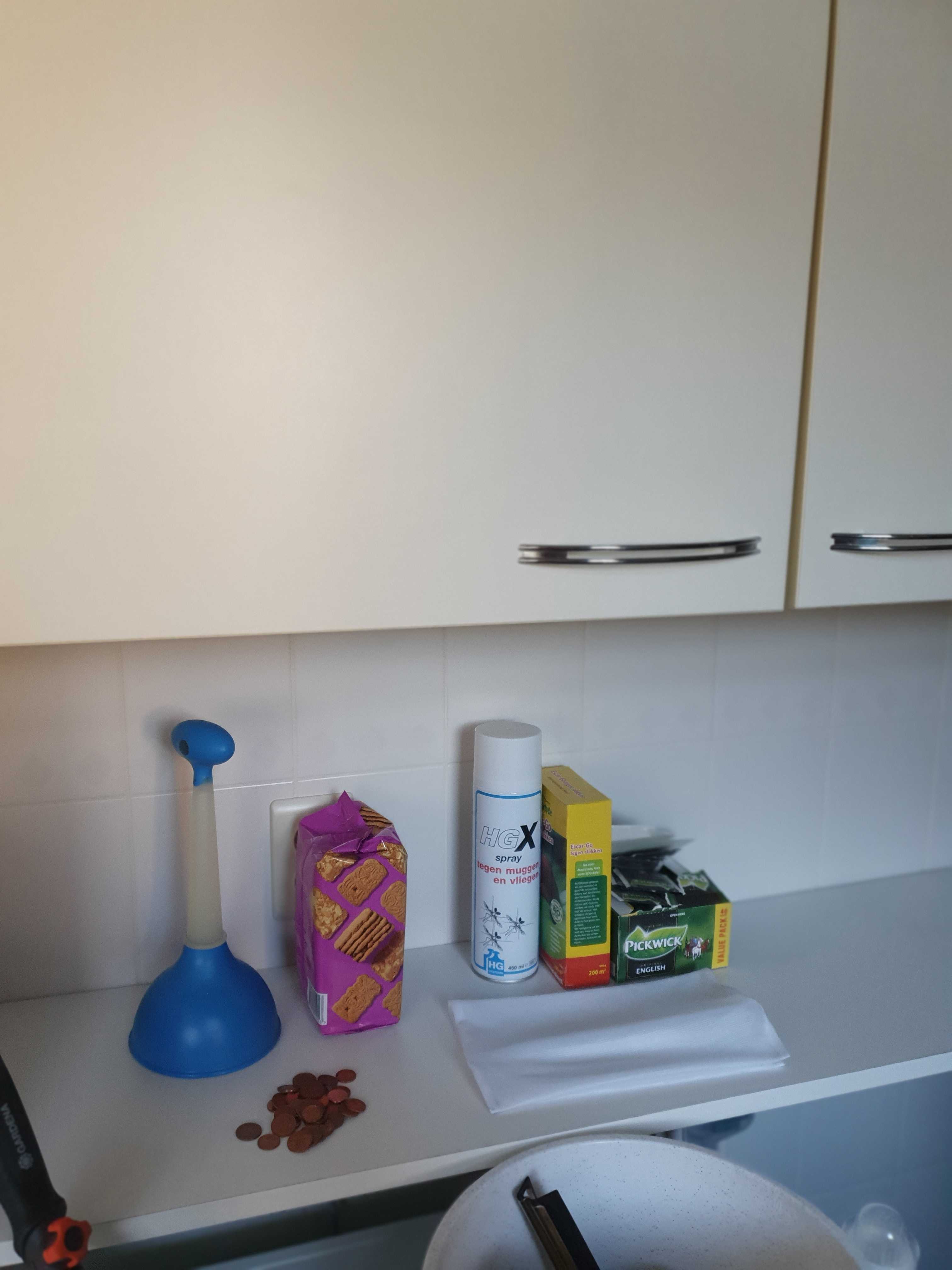 Roemer Visscherstraat 297 - Haarlem