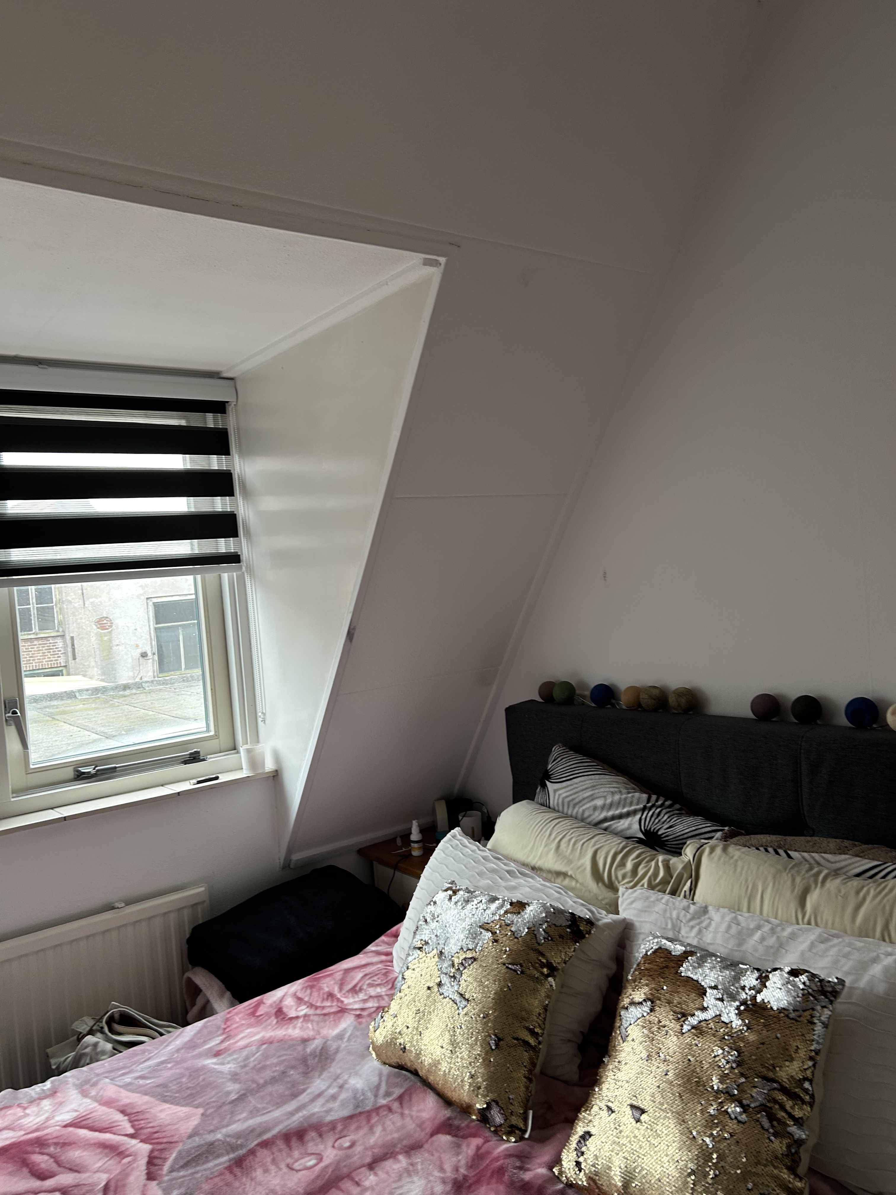 Eendvogelsteeg 25 - Gorinchem