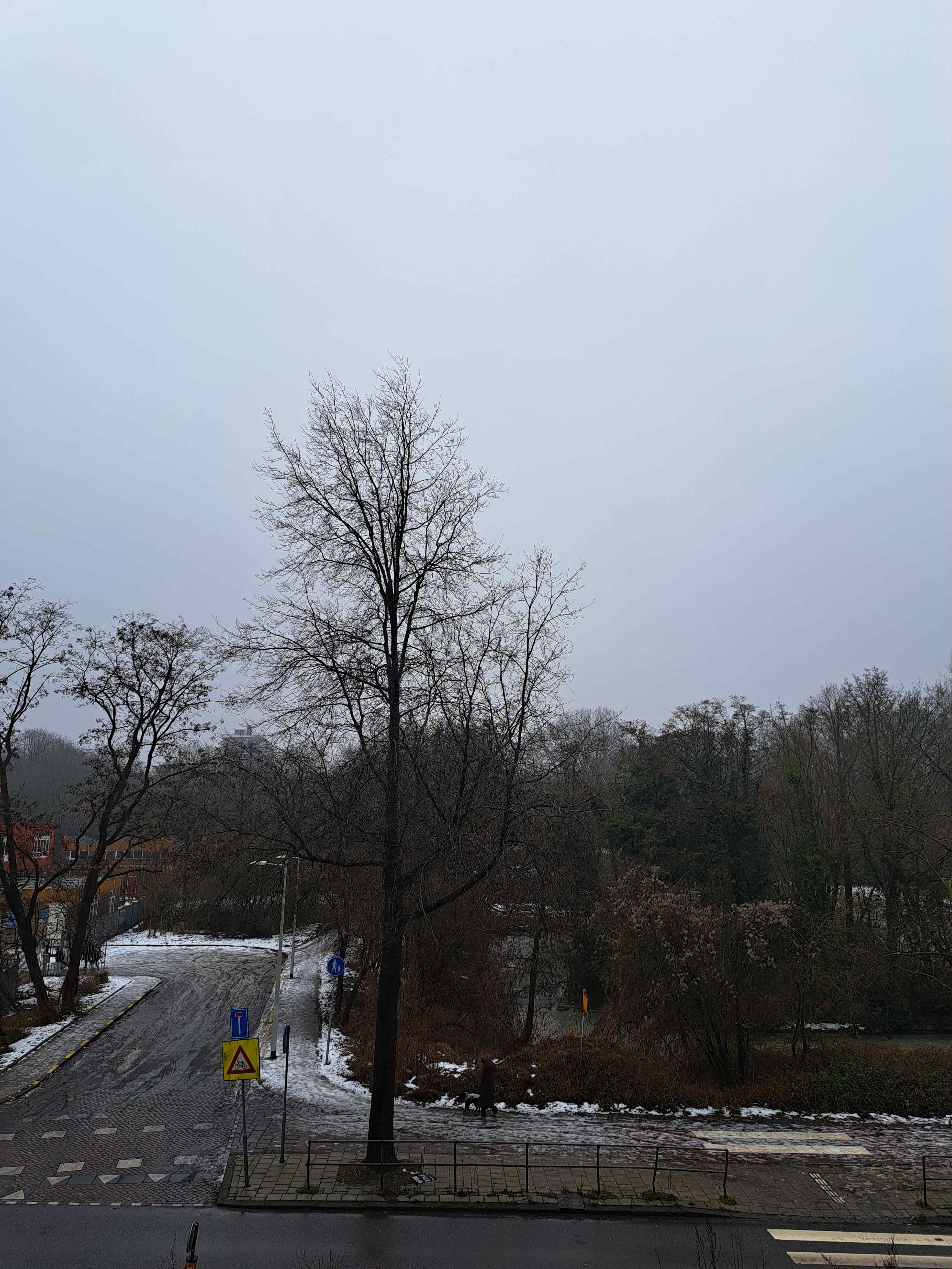 Zilverplevierstraat 11 - Amsterdam