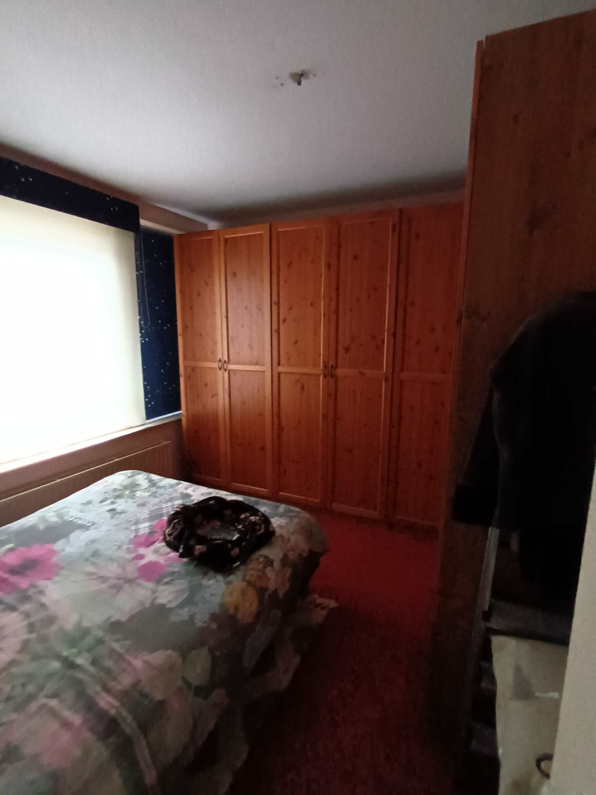 Rubiconstraat 28 - Beverwijk