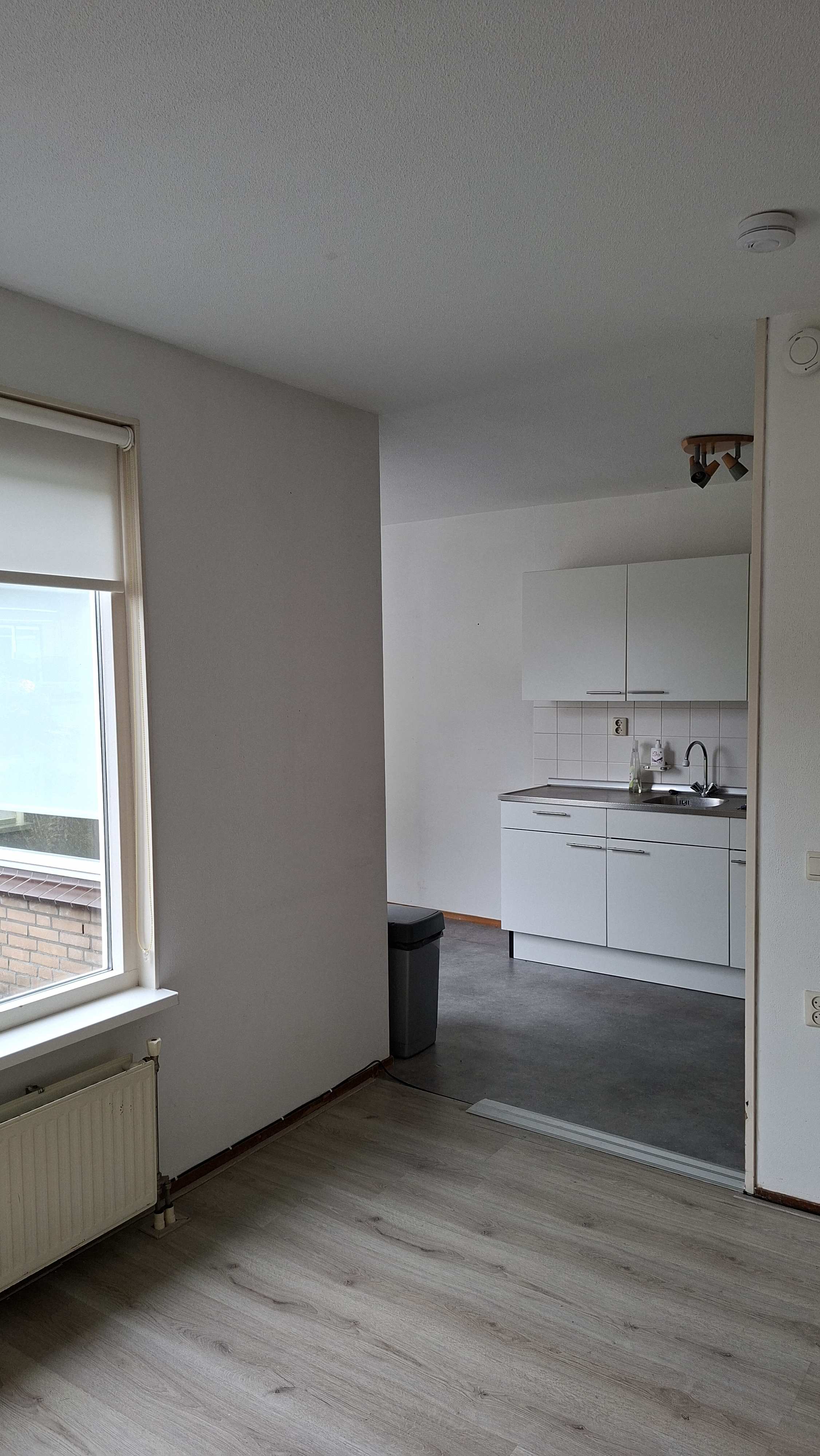 Clara van Spaarnwoudestraat 52 - Spaarndam