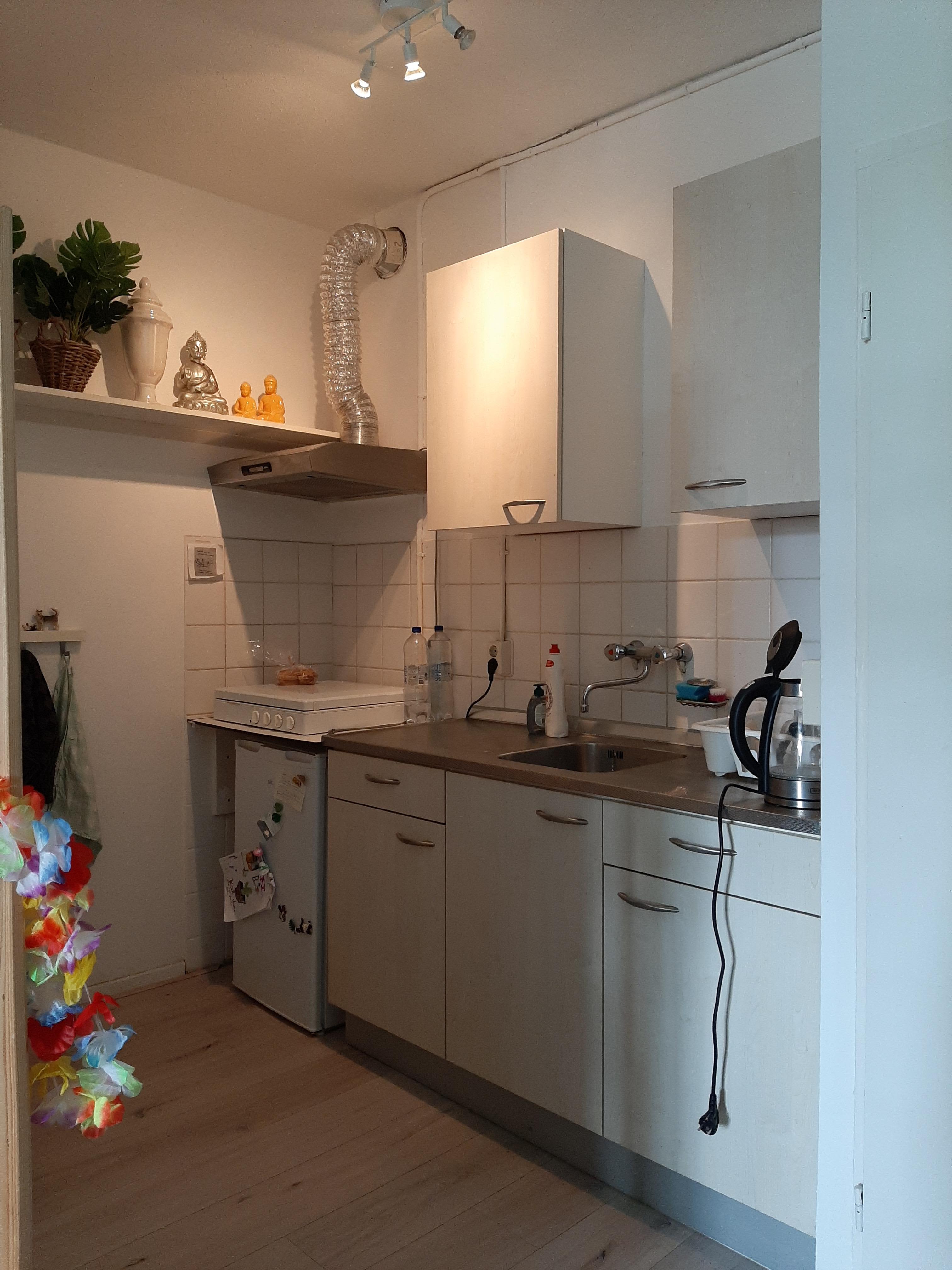 Spaarne 49-0021 - Haarlem