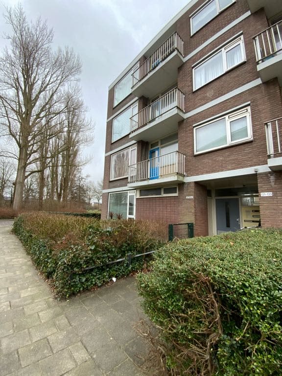 Lessestraat 143 - Heemskerk