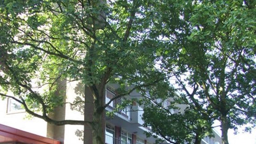 Troelstraweg 42 - Wageningen