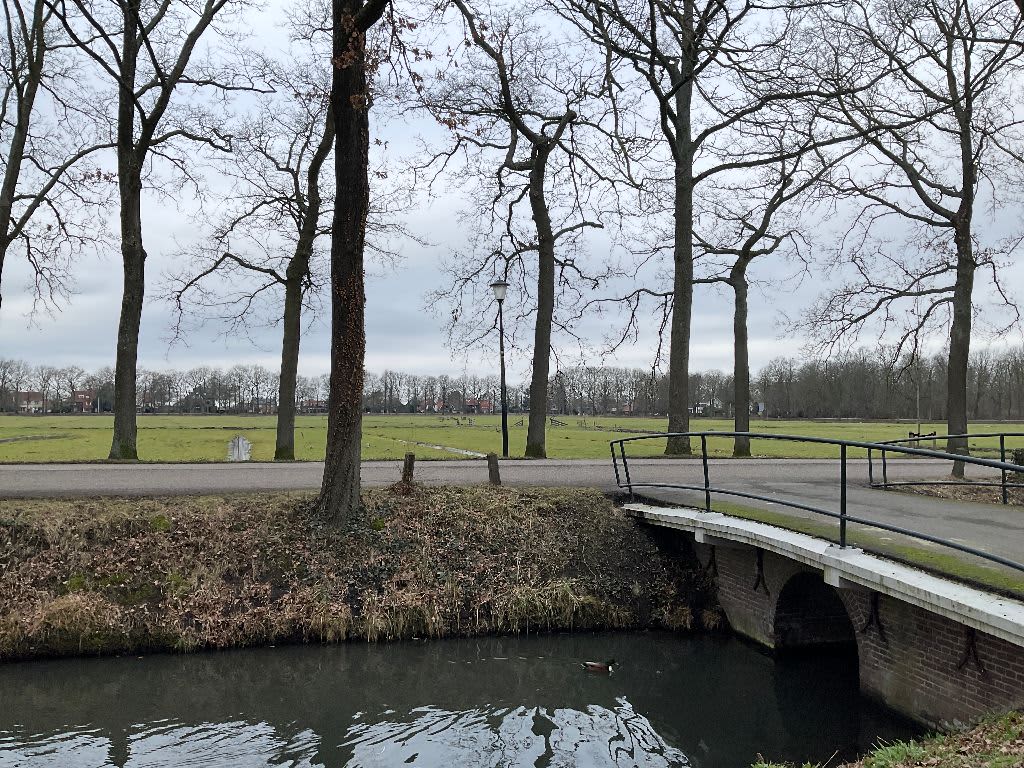 Amaliahof 28 - Culemborg