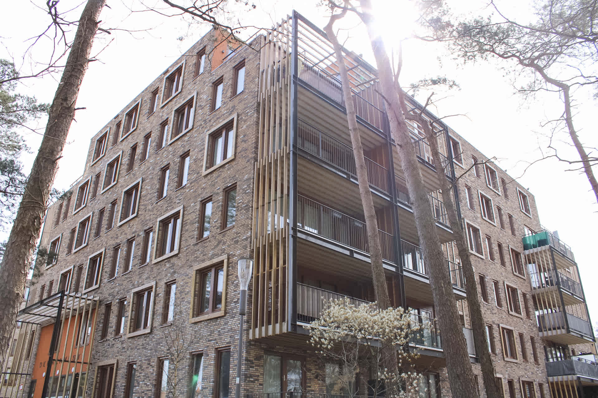 Prinses Arianelaan 118 - Zeist