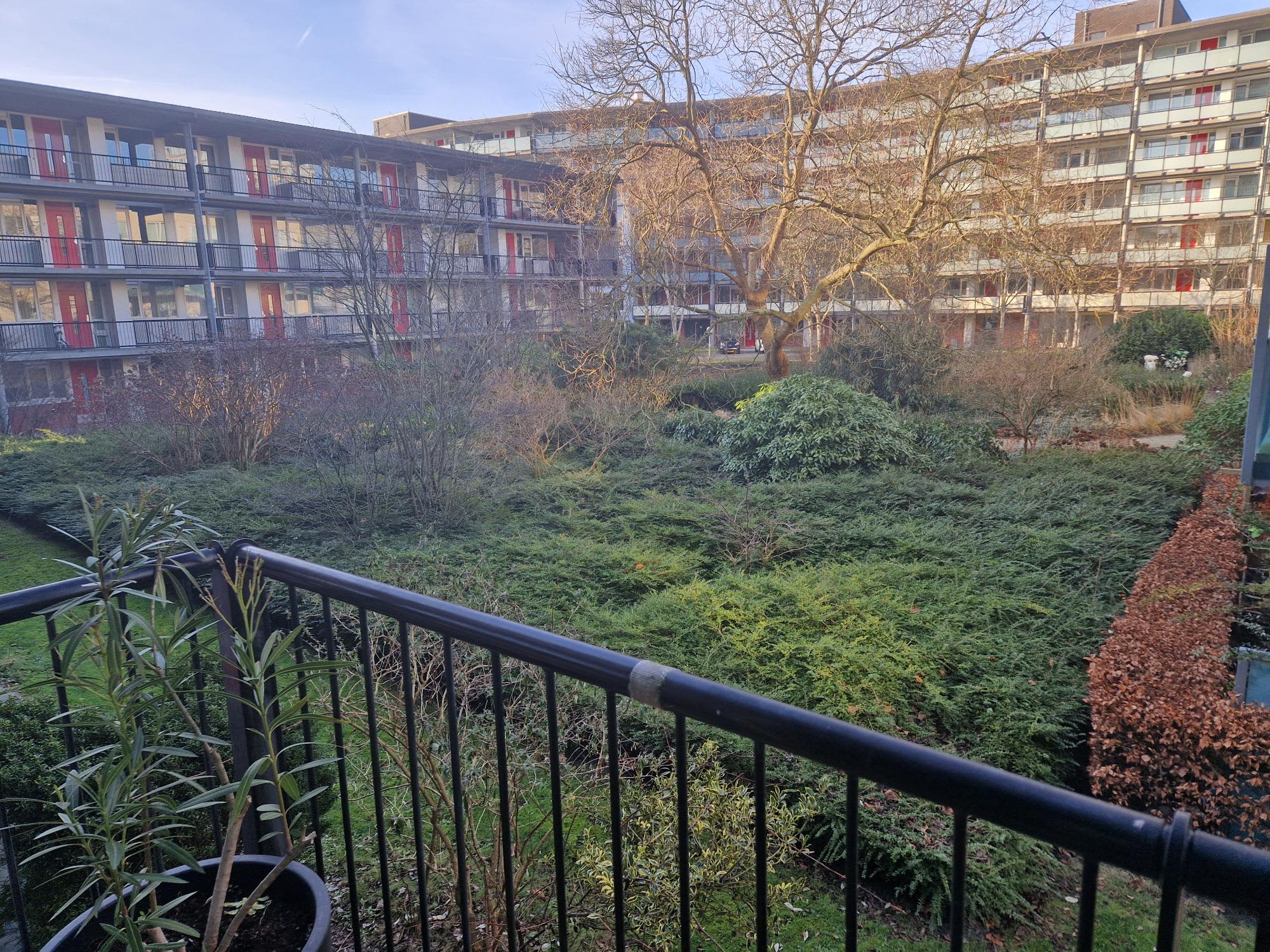 Radboud 4A - Amsterdam