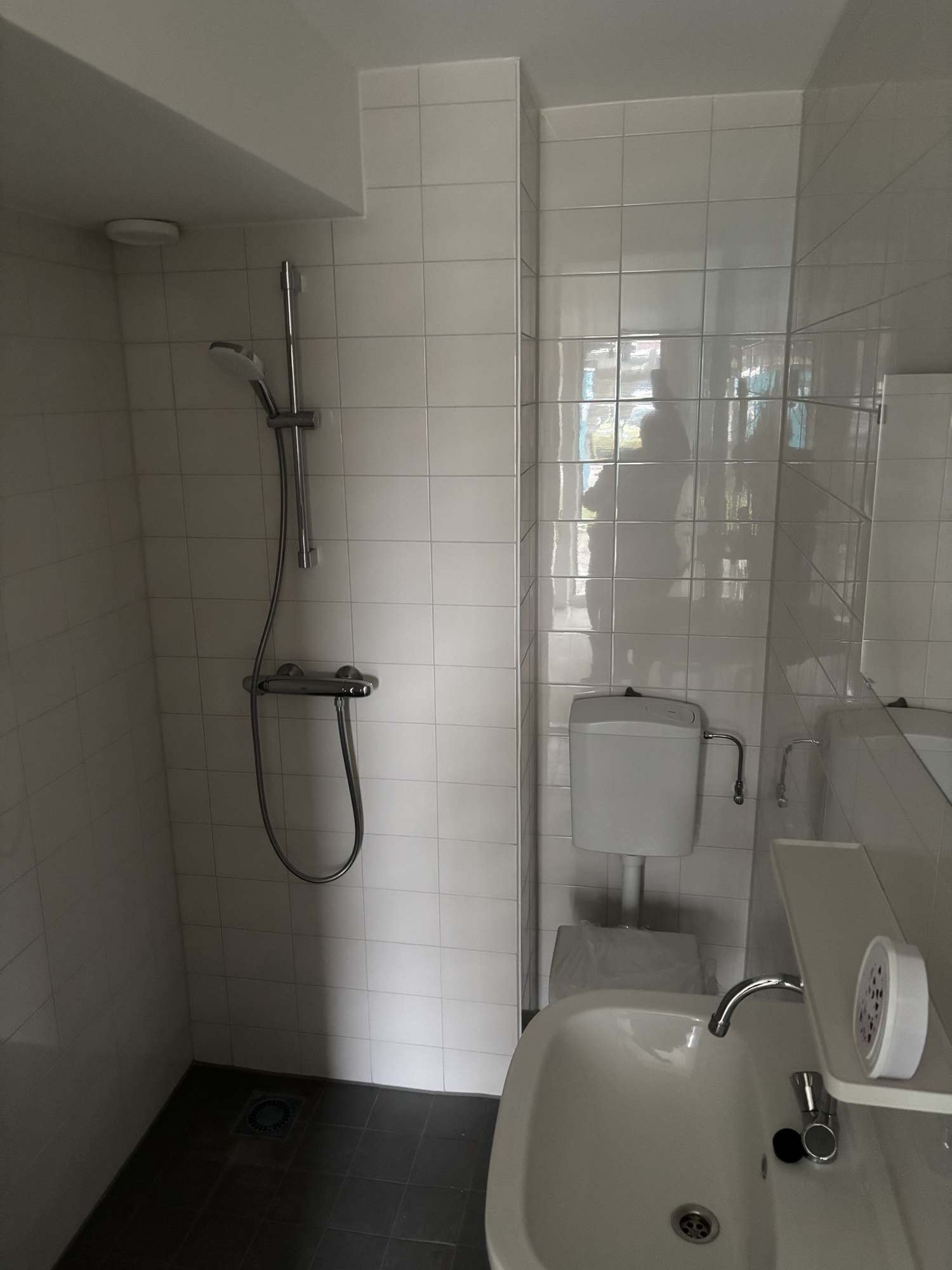 Meerkoet 26 - Harmelen