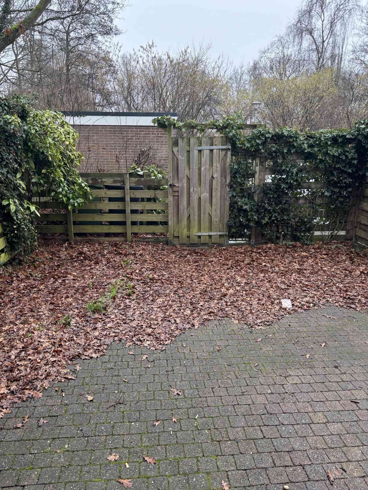 Meerkoet 26 - Harmelen