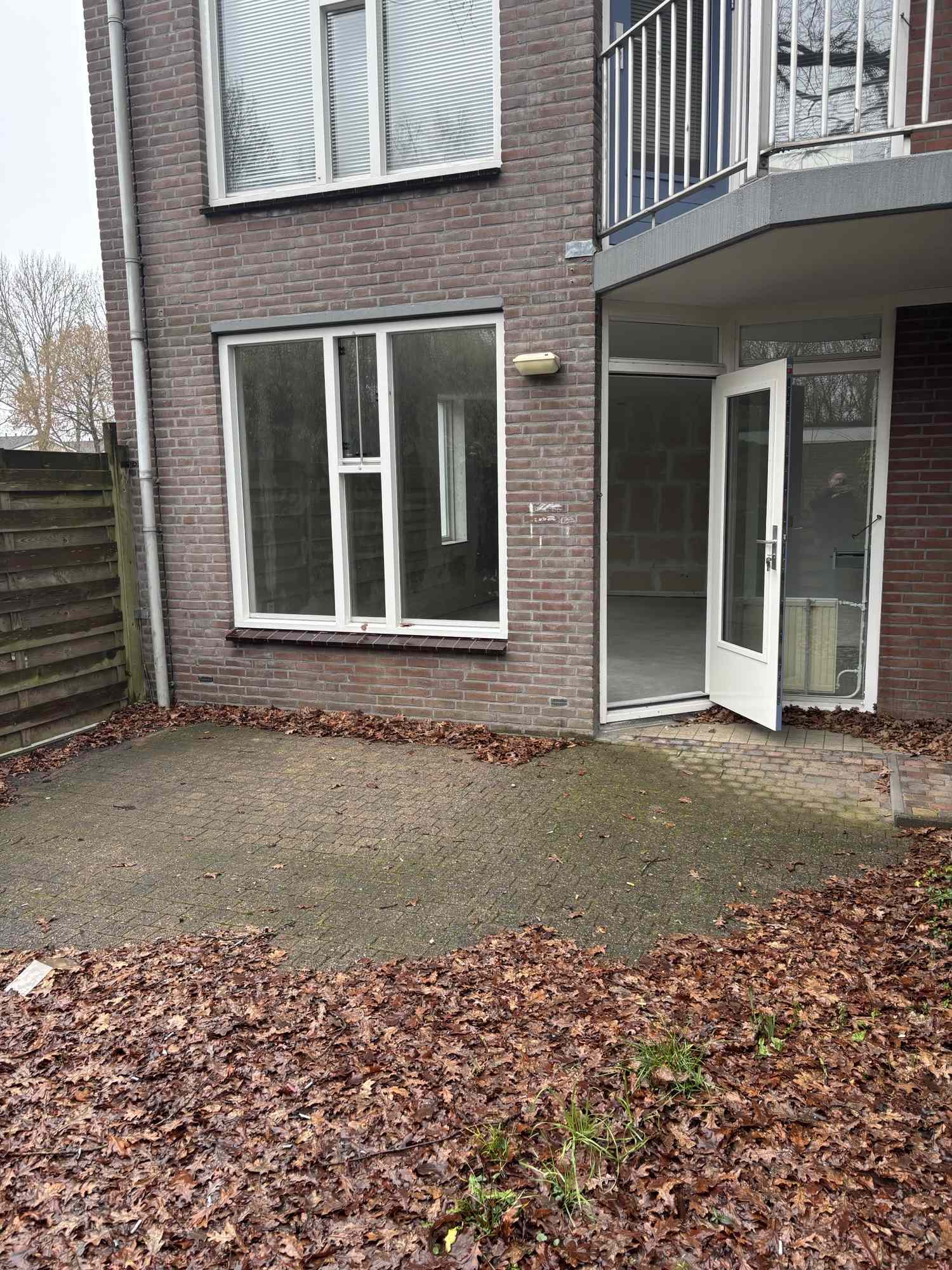 Meerkoet 26 - Harmelen