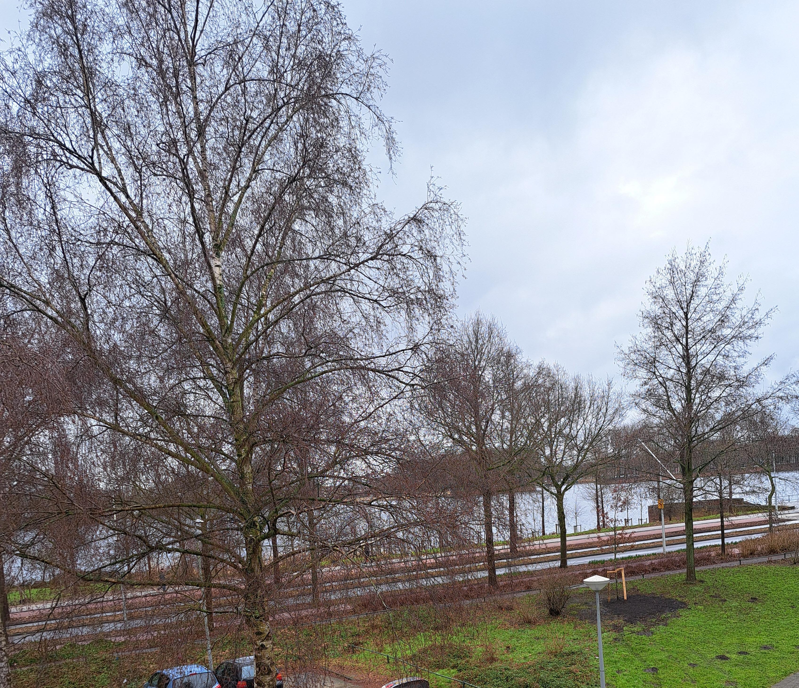 Louvrelaan 28 - Amsterdam