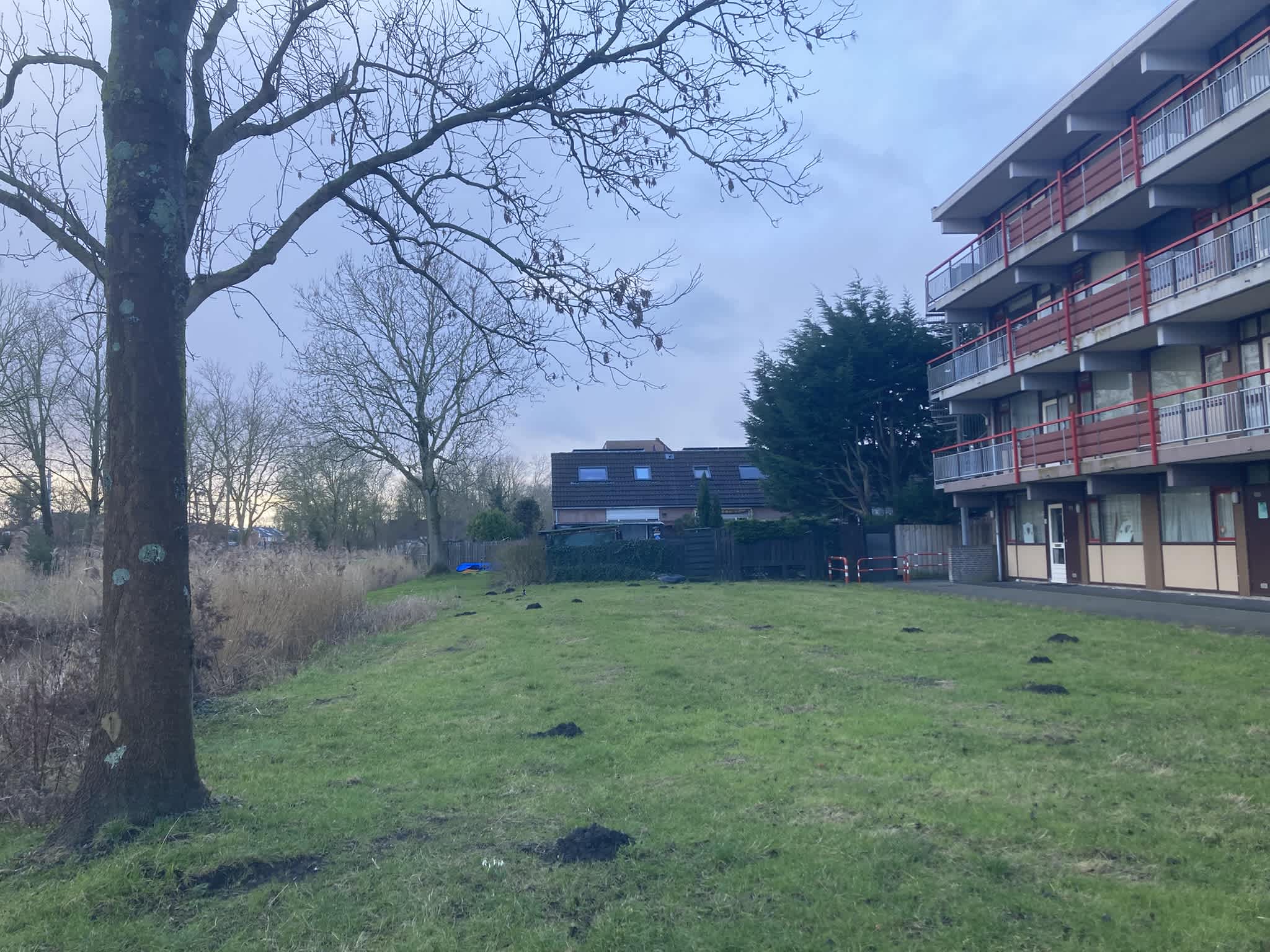 De Locomotief 154 - Koog aan de Zaan