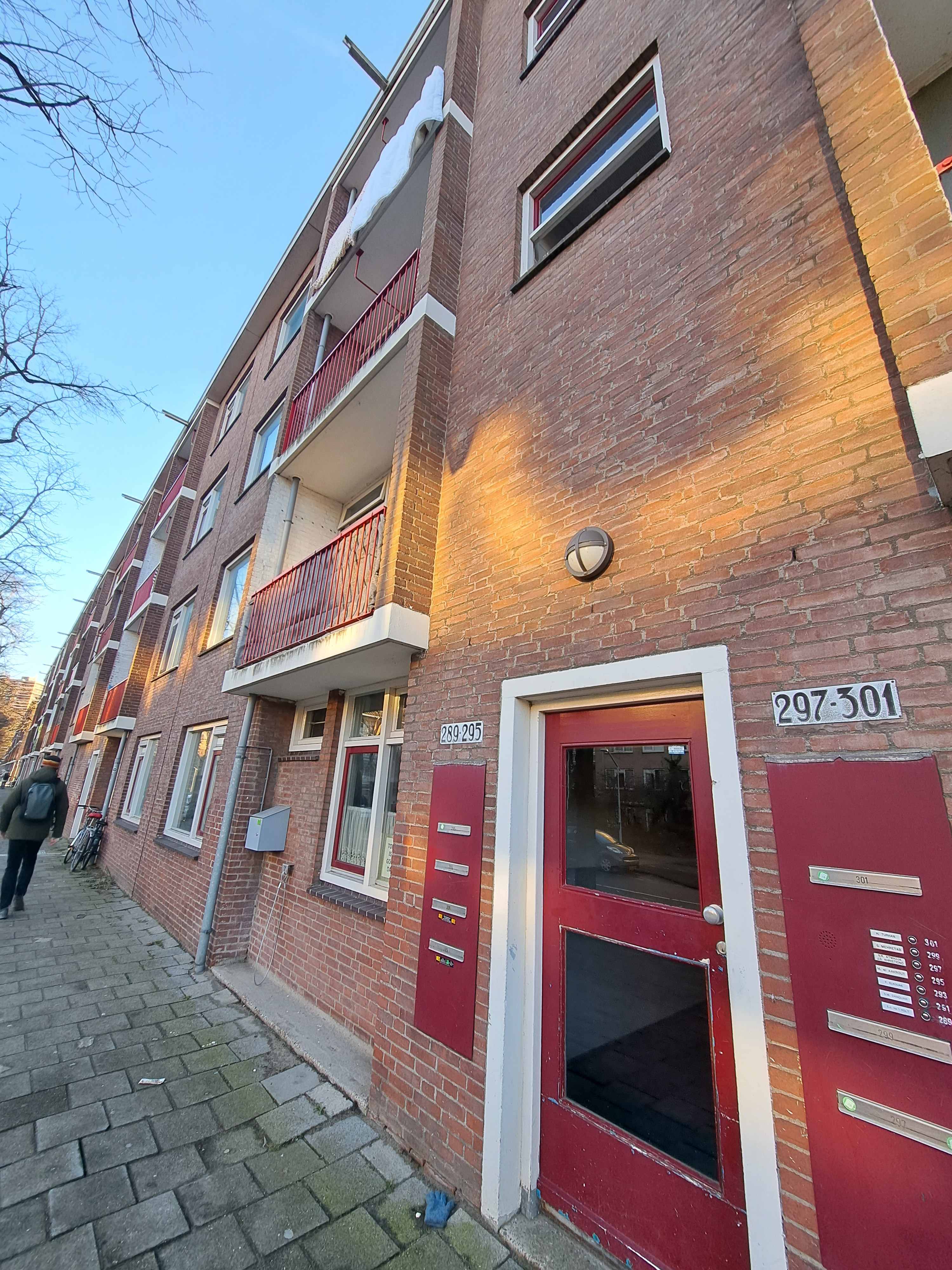 Werengouw 293 - Amsterdam