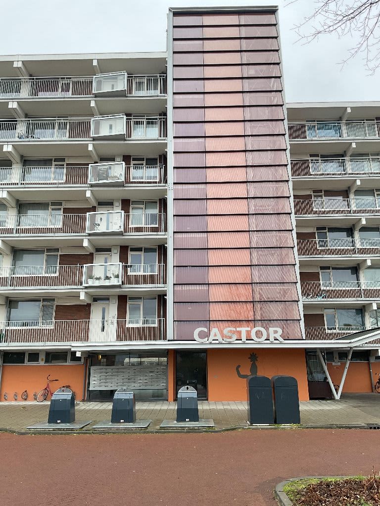 Patrimoniumstraat 162 - Leerdam