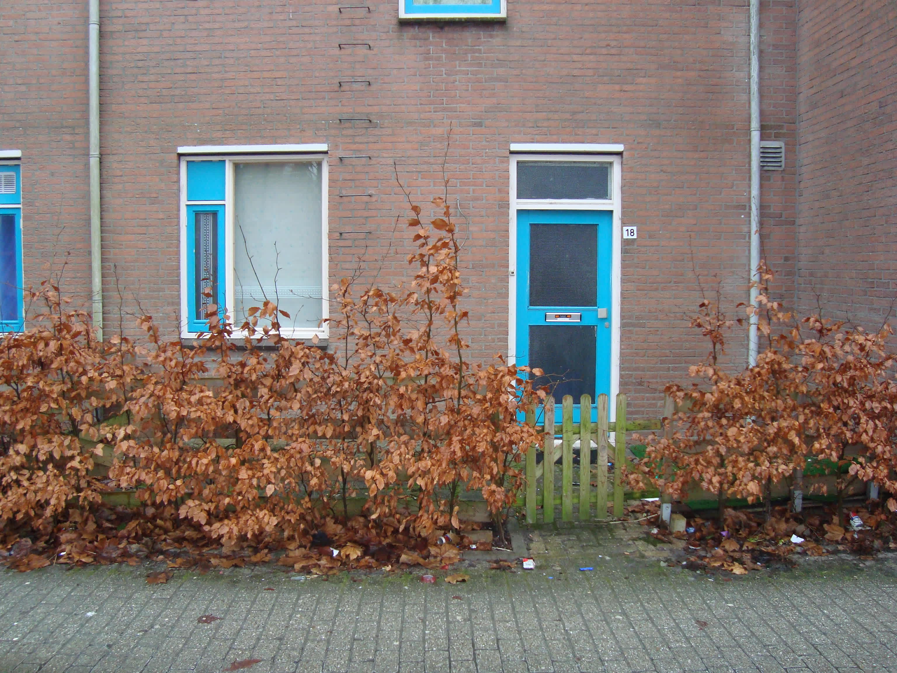 Doornbosheerd 18 - Groningen