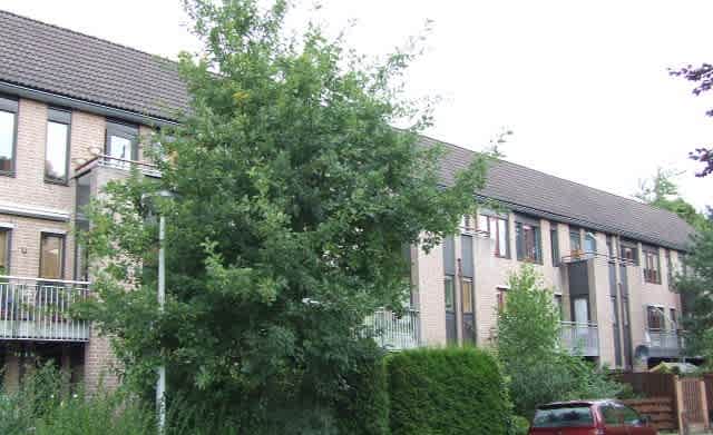 de Bleijk 35 - Wageningen