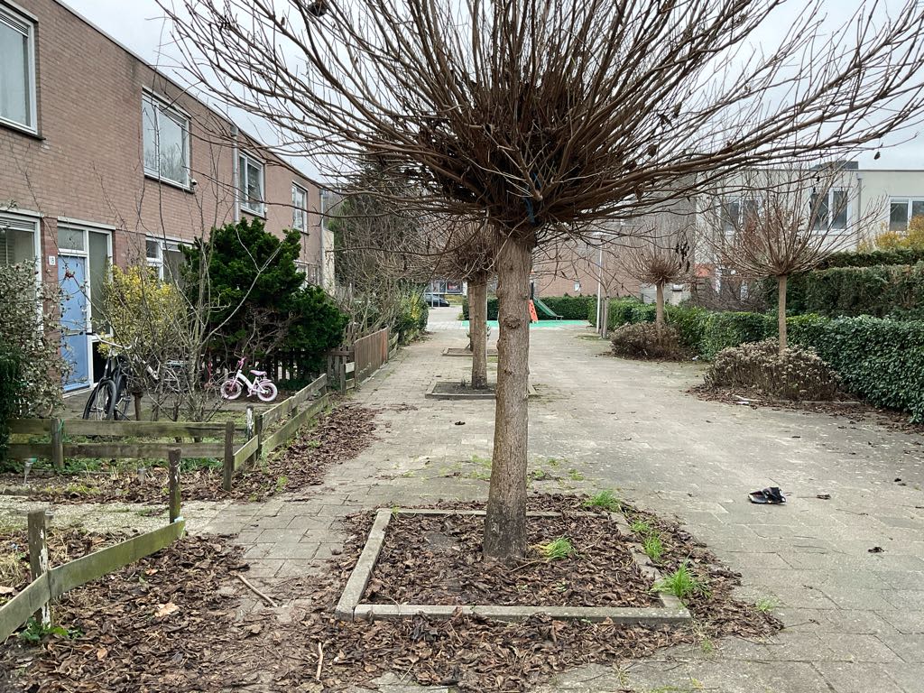 Aphroditedreef 14 - Utrecht