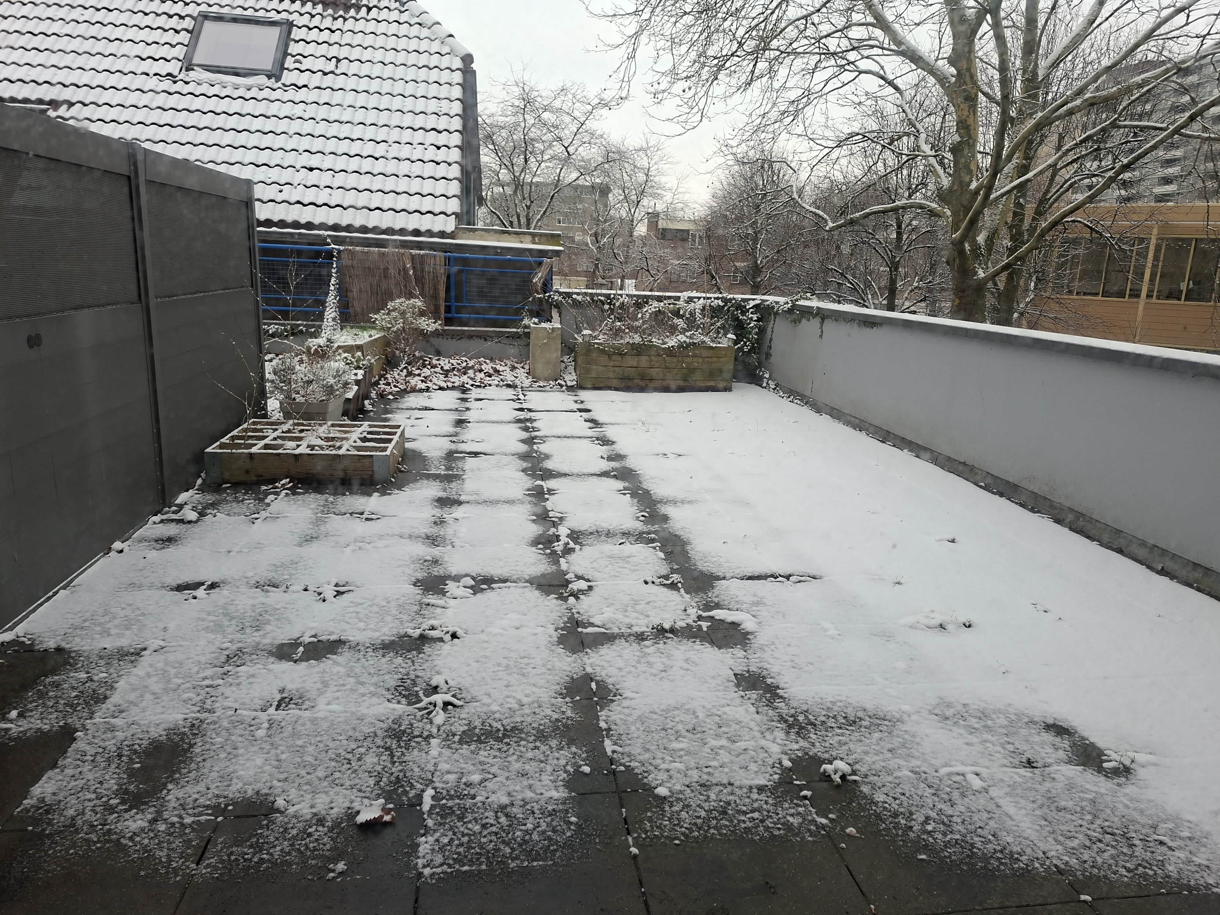 Fie Carelsenplein 16 - Haarlem