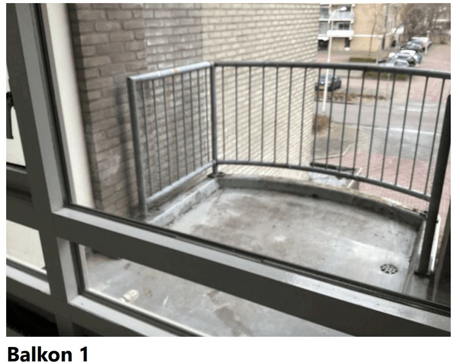 Grote Beer 60 - Amstelveen