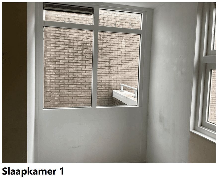 Grote Beer 60 - Amstelveen