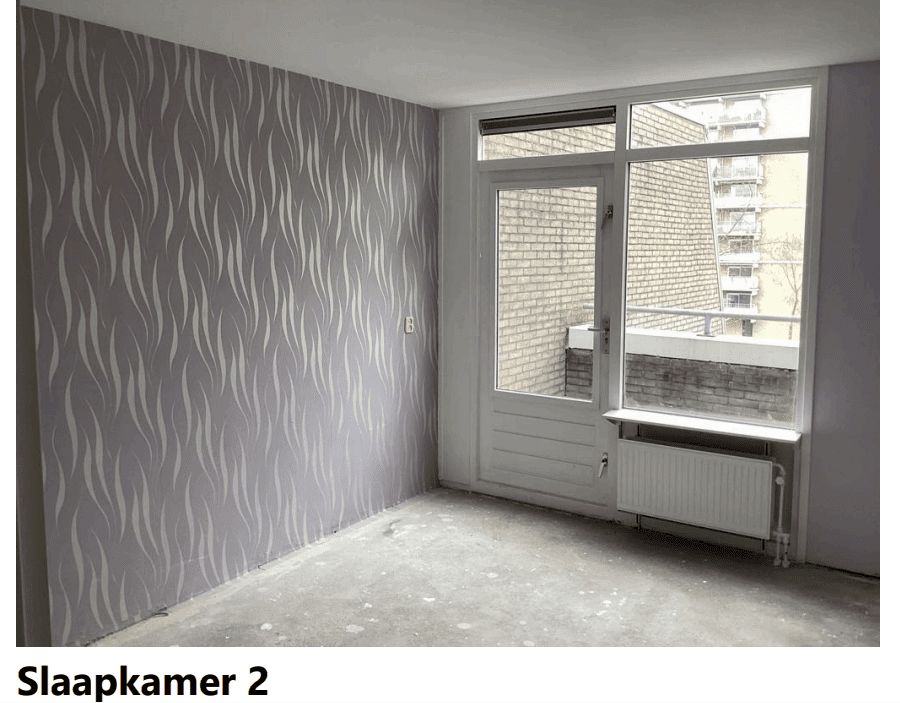 Grote Beer 60 - Amstelveen