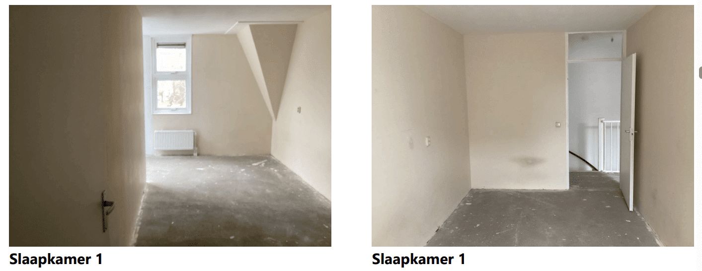 Grote Beer 60 - Amstelveen