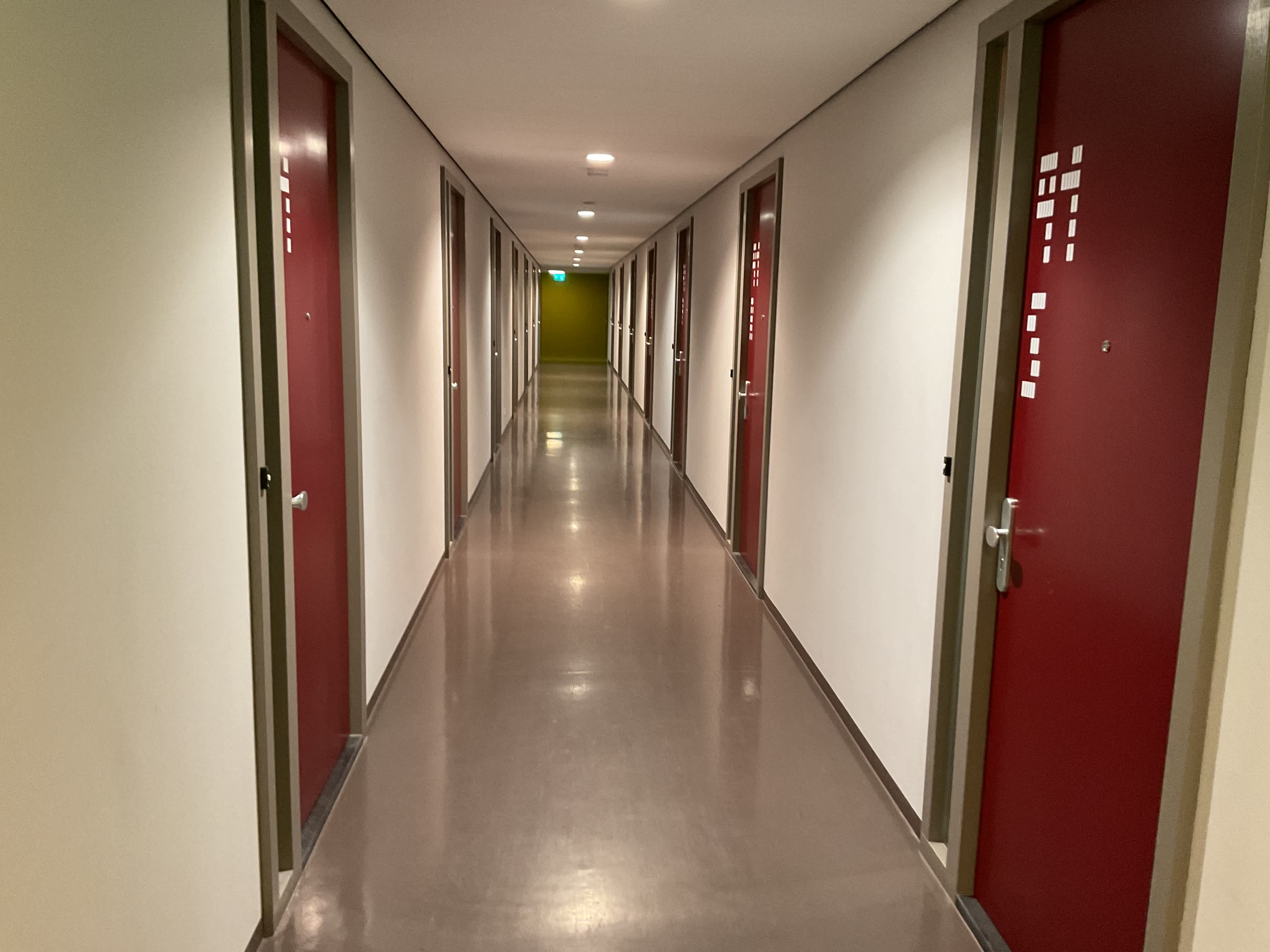 Bos en Lommerplantsoen 91-B - Amsterdam