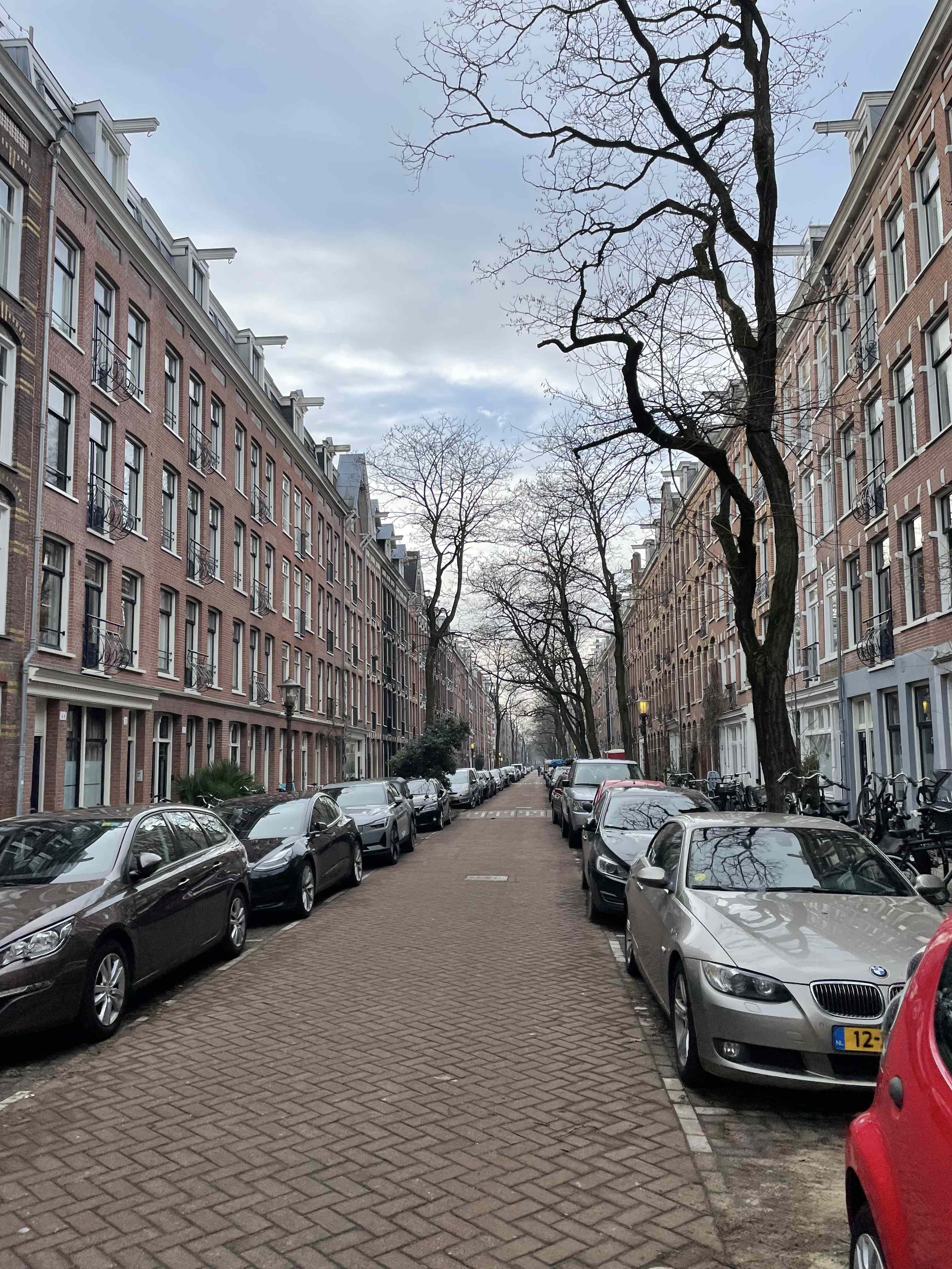 Wilhelminastraat 6-2 - Amsterdam