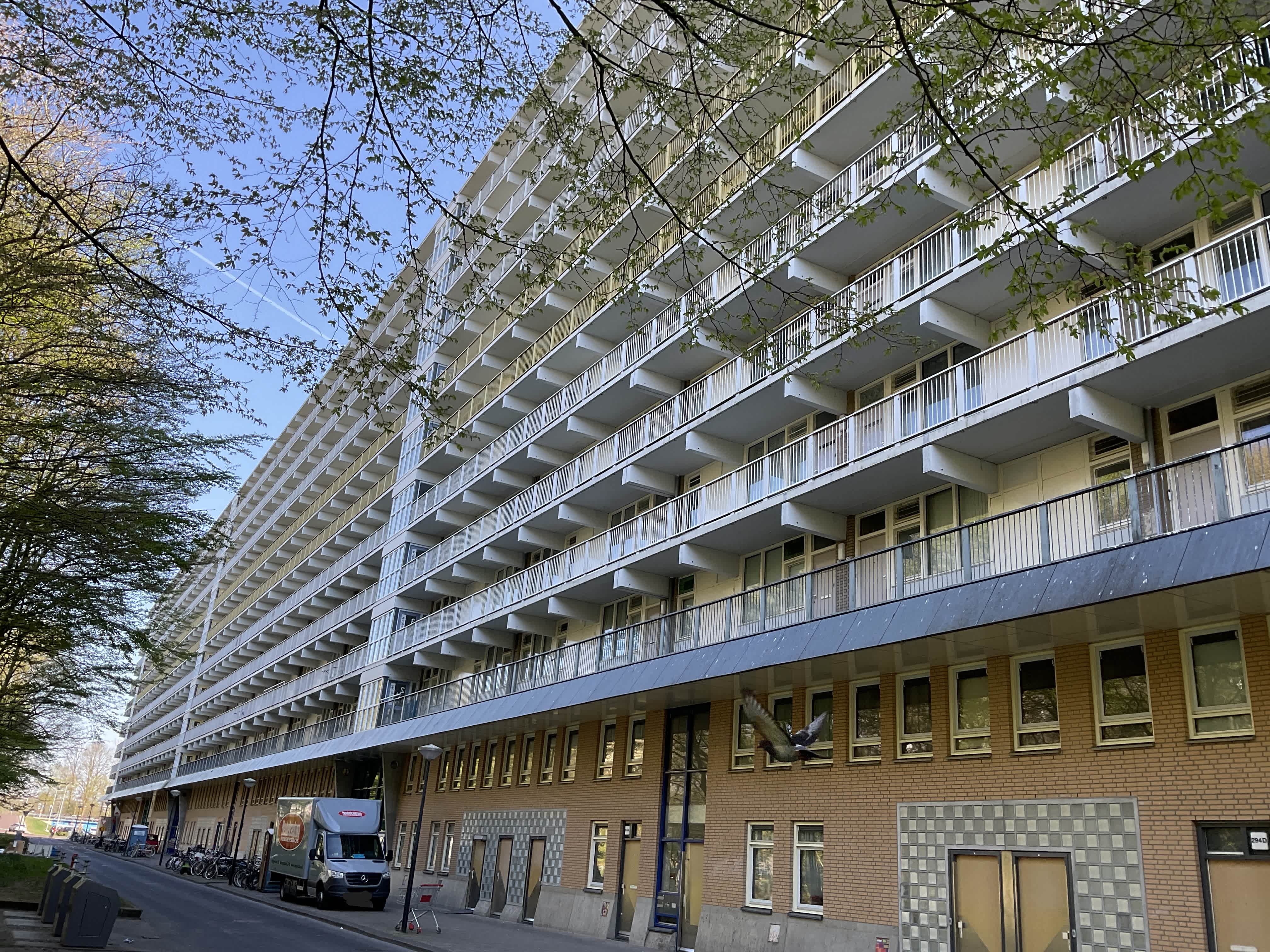 Hofgeest 196A - Amsterdam