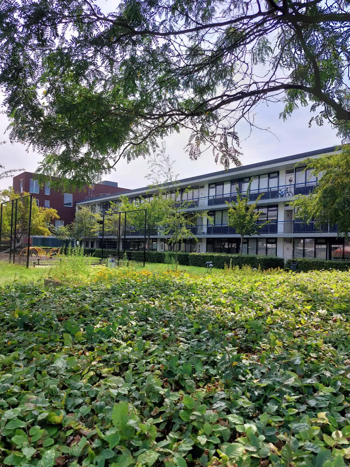 Lange Dreef 91 - Driebergen-Rijsenburg