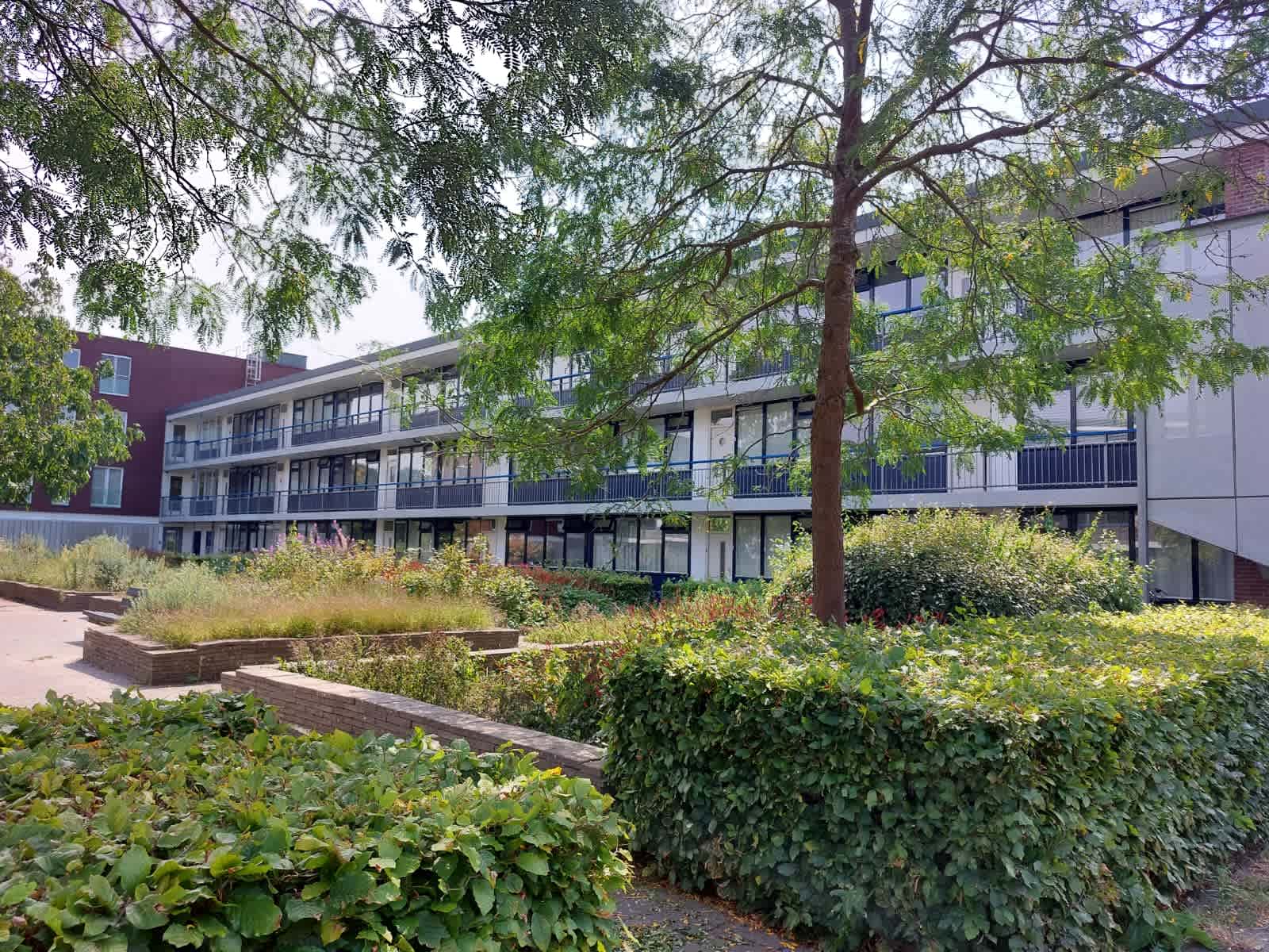 Lange Dreef 91 - Driebergen-Rijsenburg