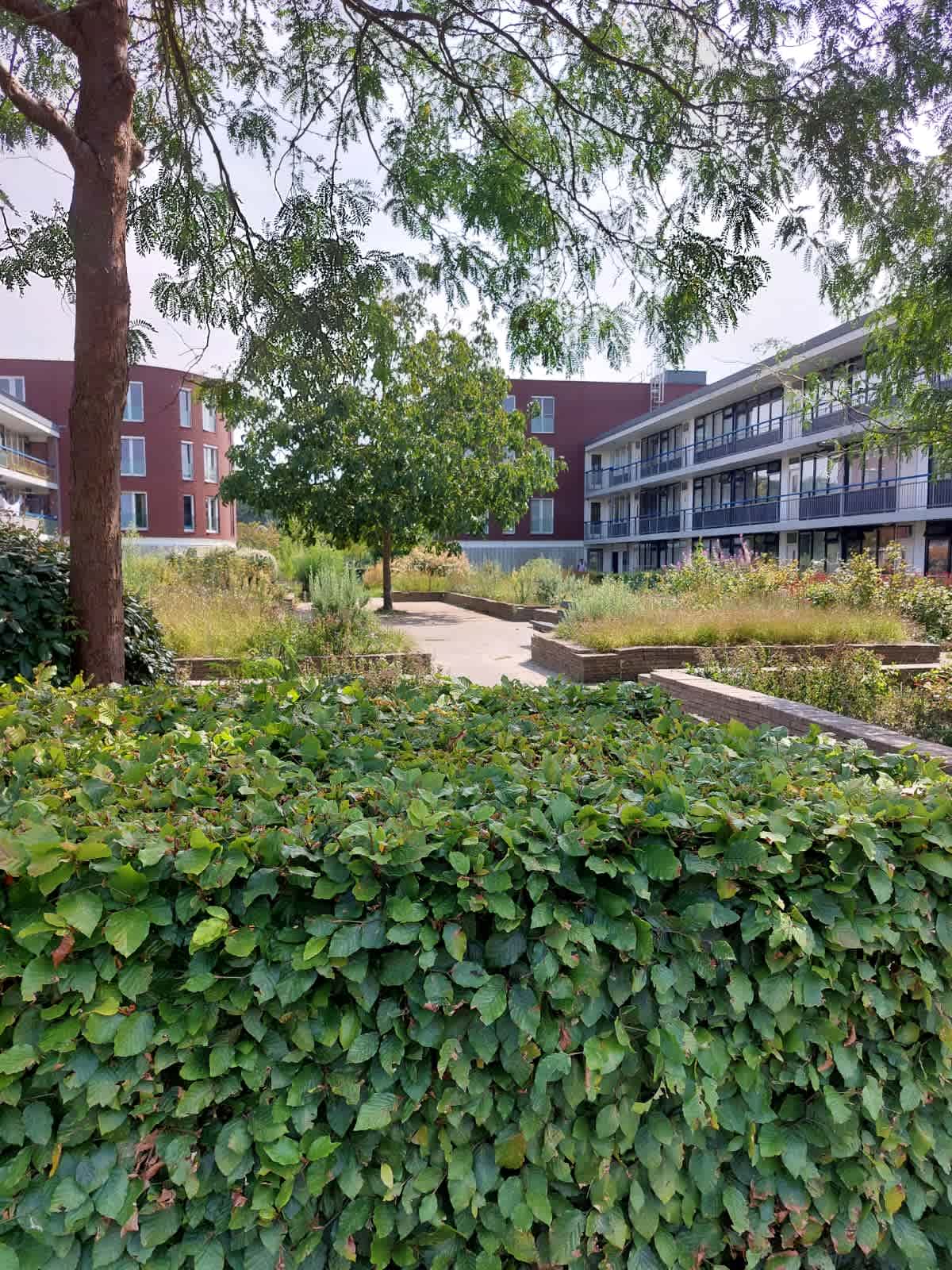 Lange Dreef 91 - Driebergen-Rijsenburg