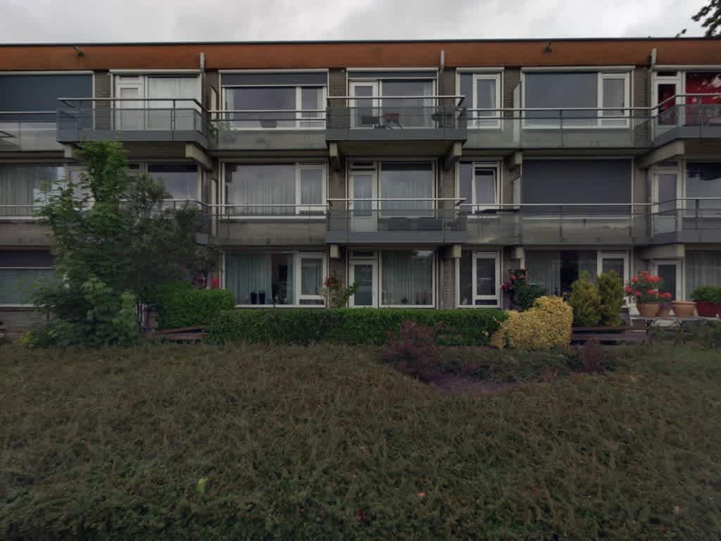 Grote Beer 69 - Hoogezand