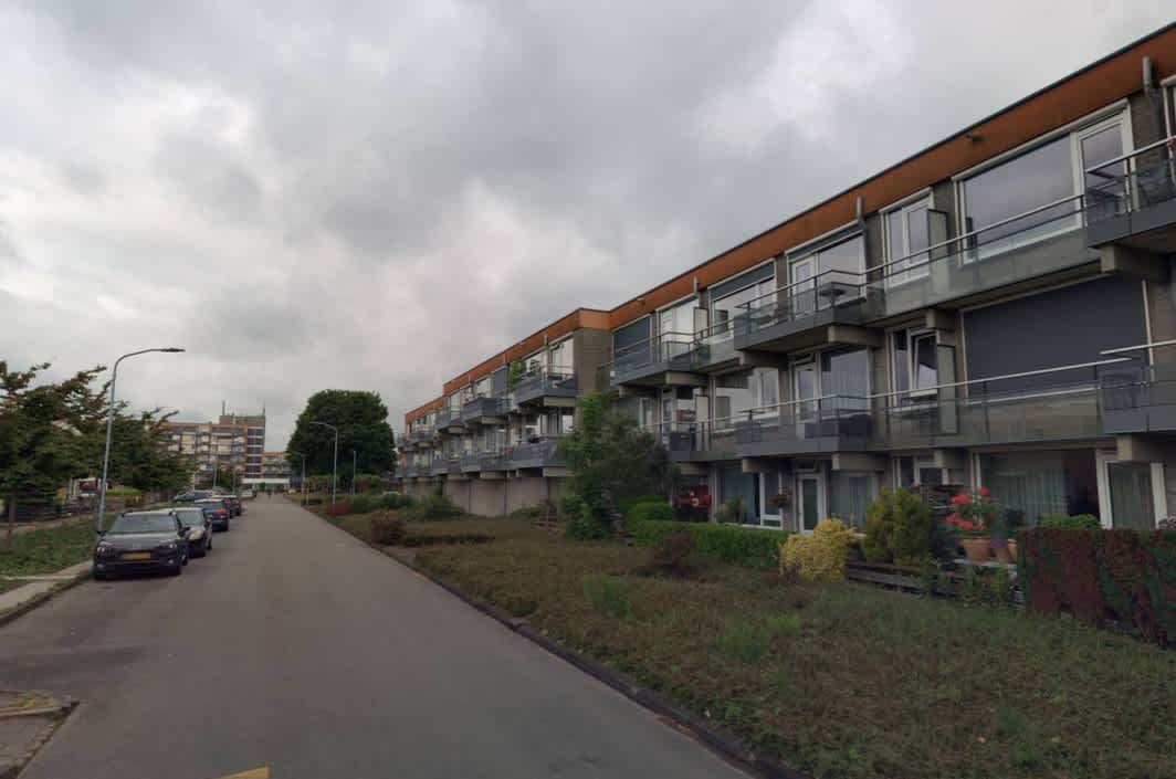 Grote Beer 69 - Hoogezand