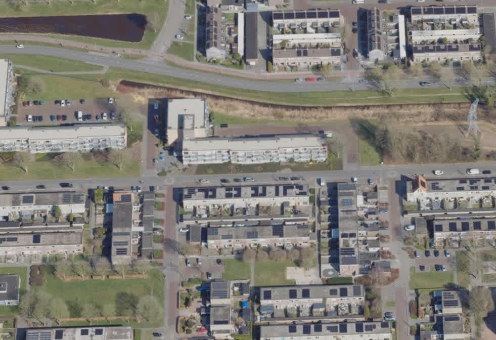 Grote Beer 69 - Hoogezand