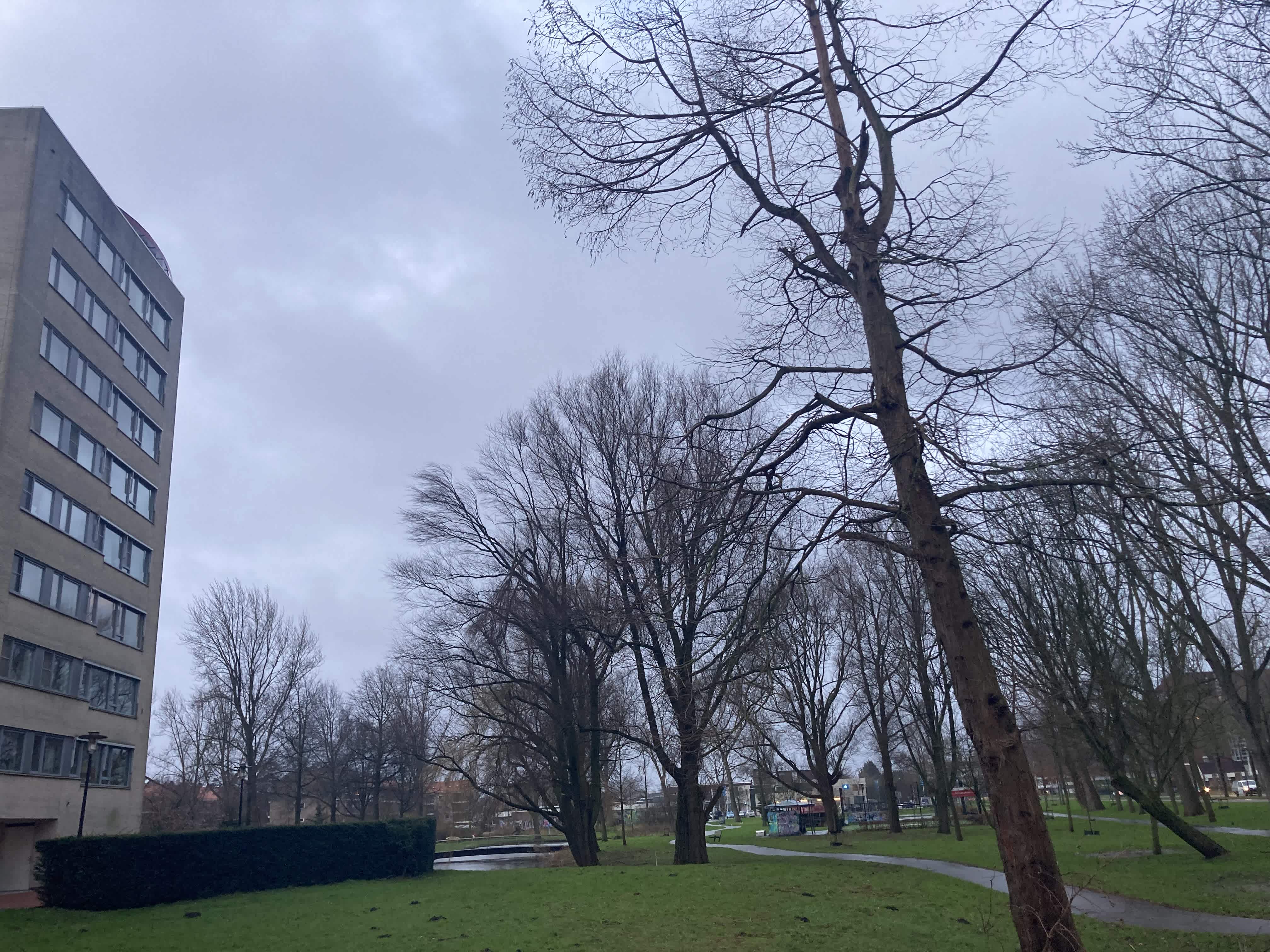 Rosariumpark 222 - Krommenie