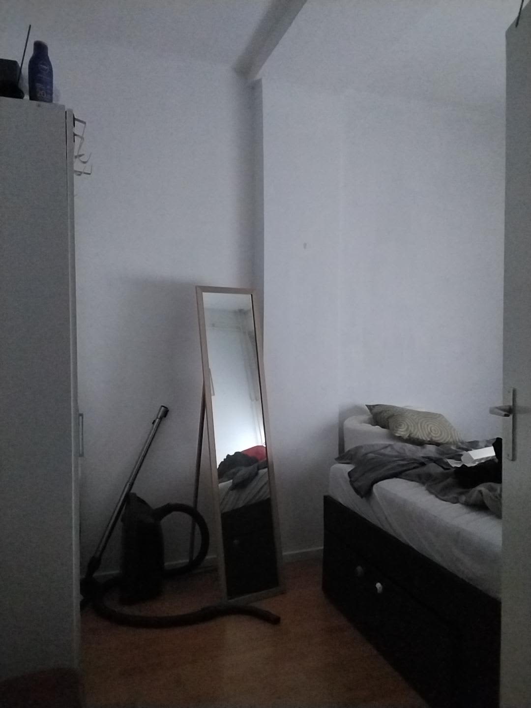 Spaarne 49-0013 - Haarlem