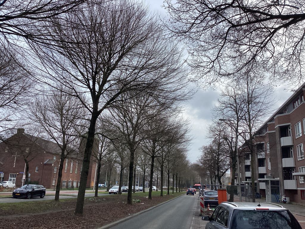 Burgemeester Norbruislaan 118A - Utrecht