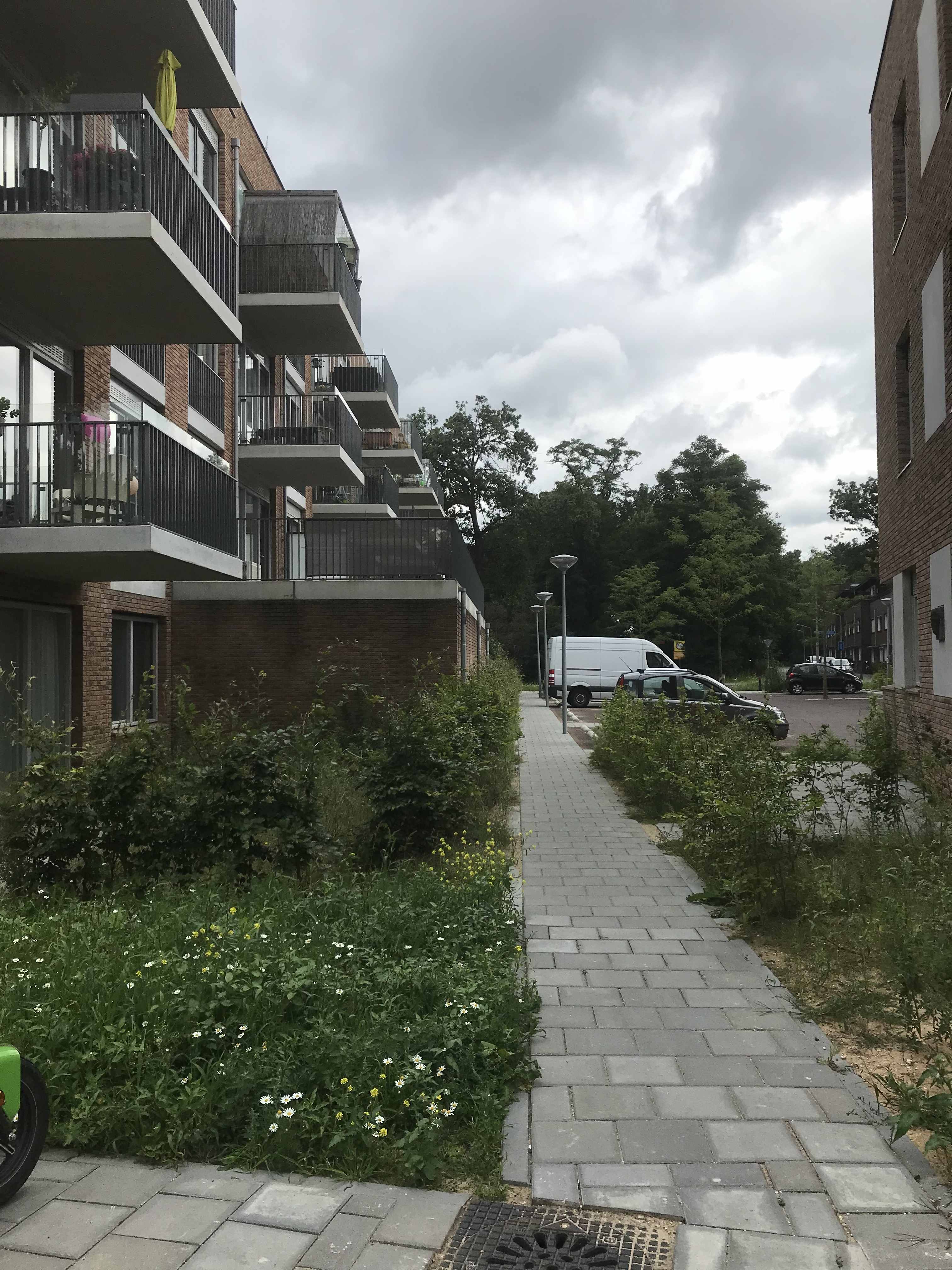Dasselaarstraat 16 - Hilversum