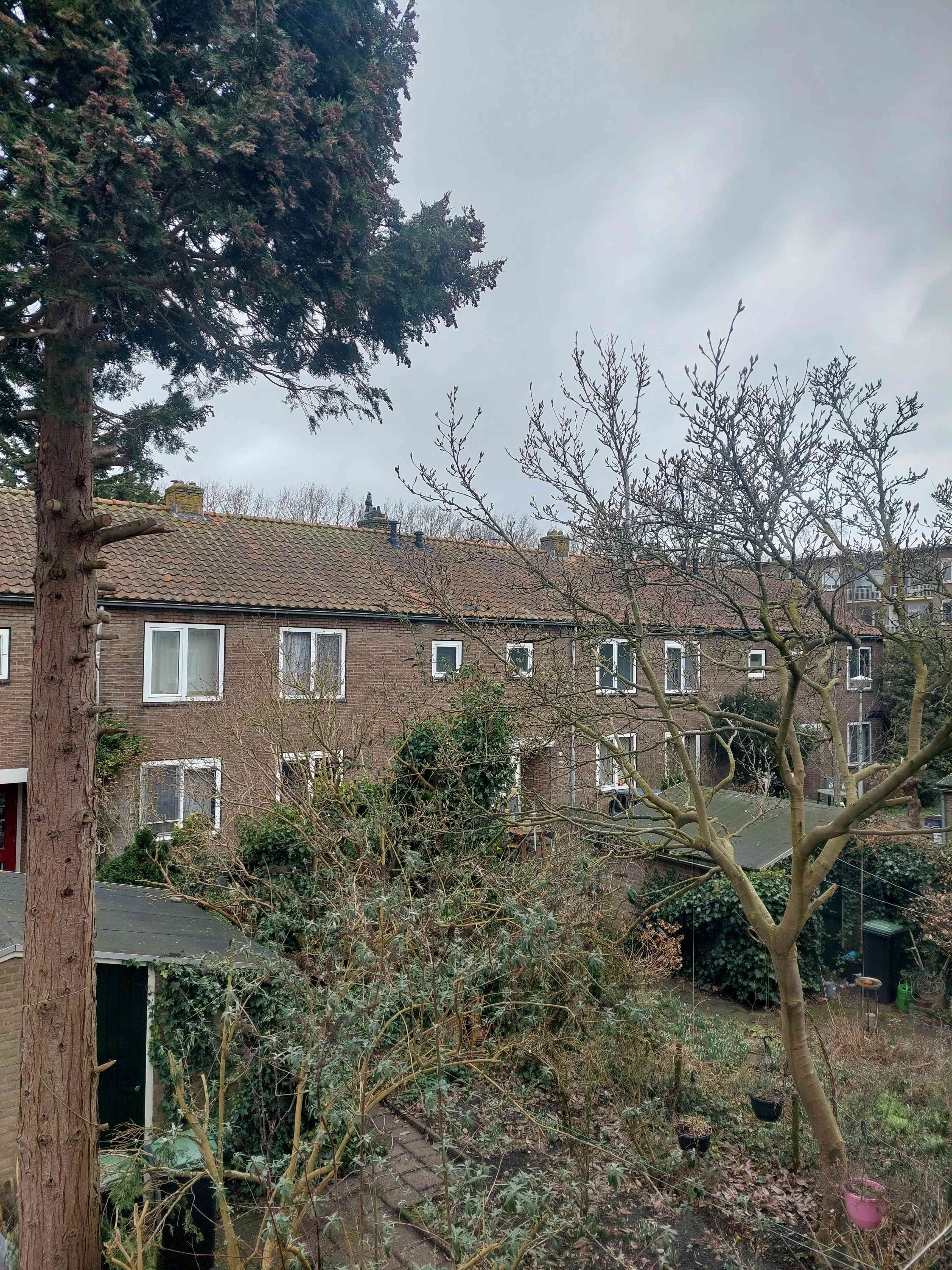 Archimedesplantsoen 107-1 - Amsterdam