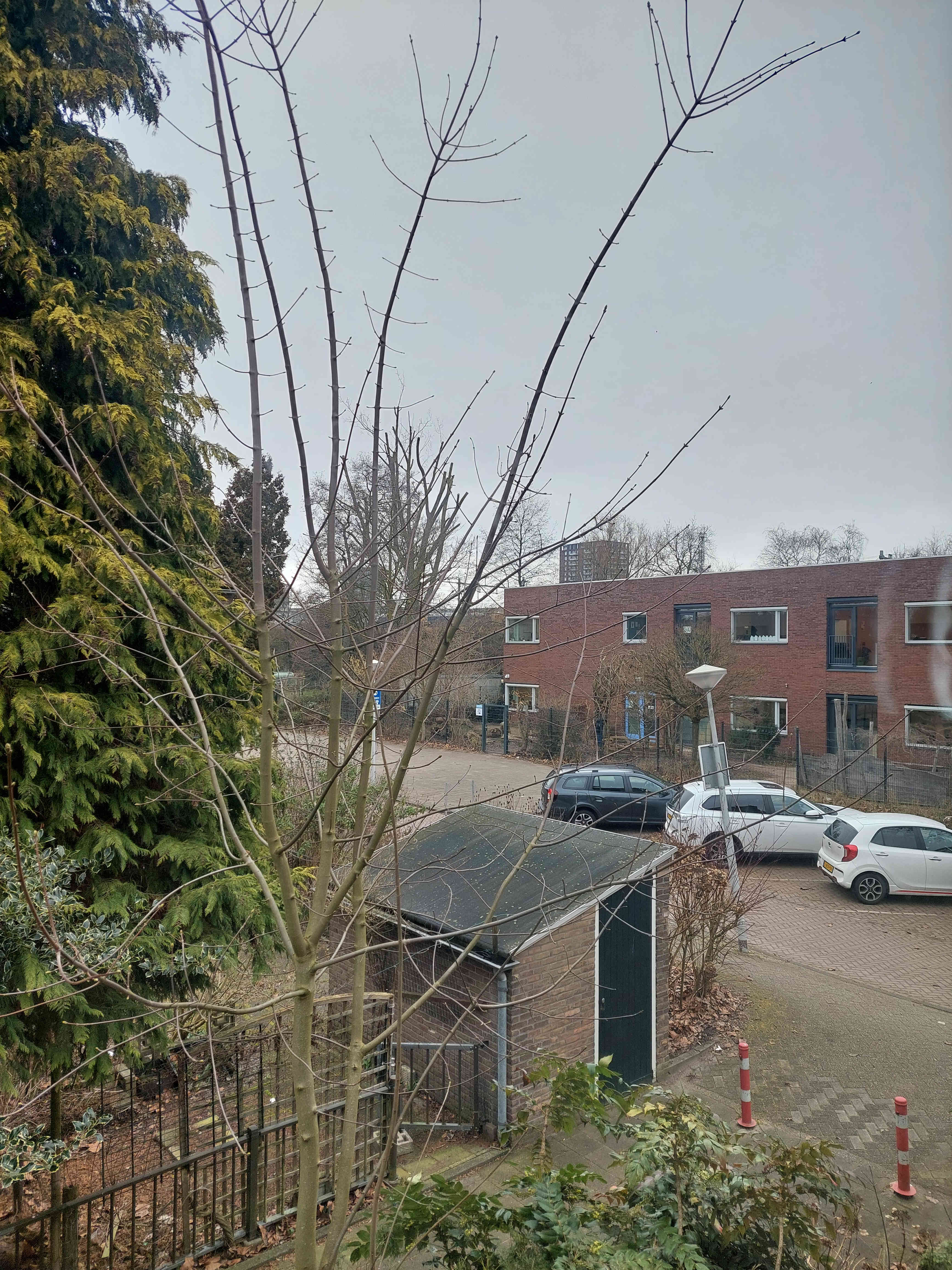 Archimedesplantsoen 107-1 - Amsterdam