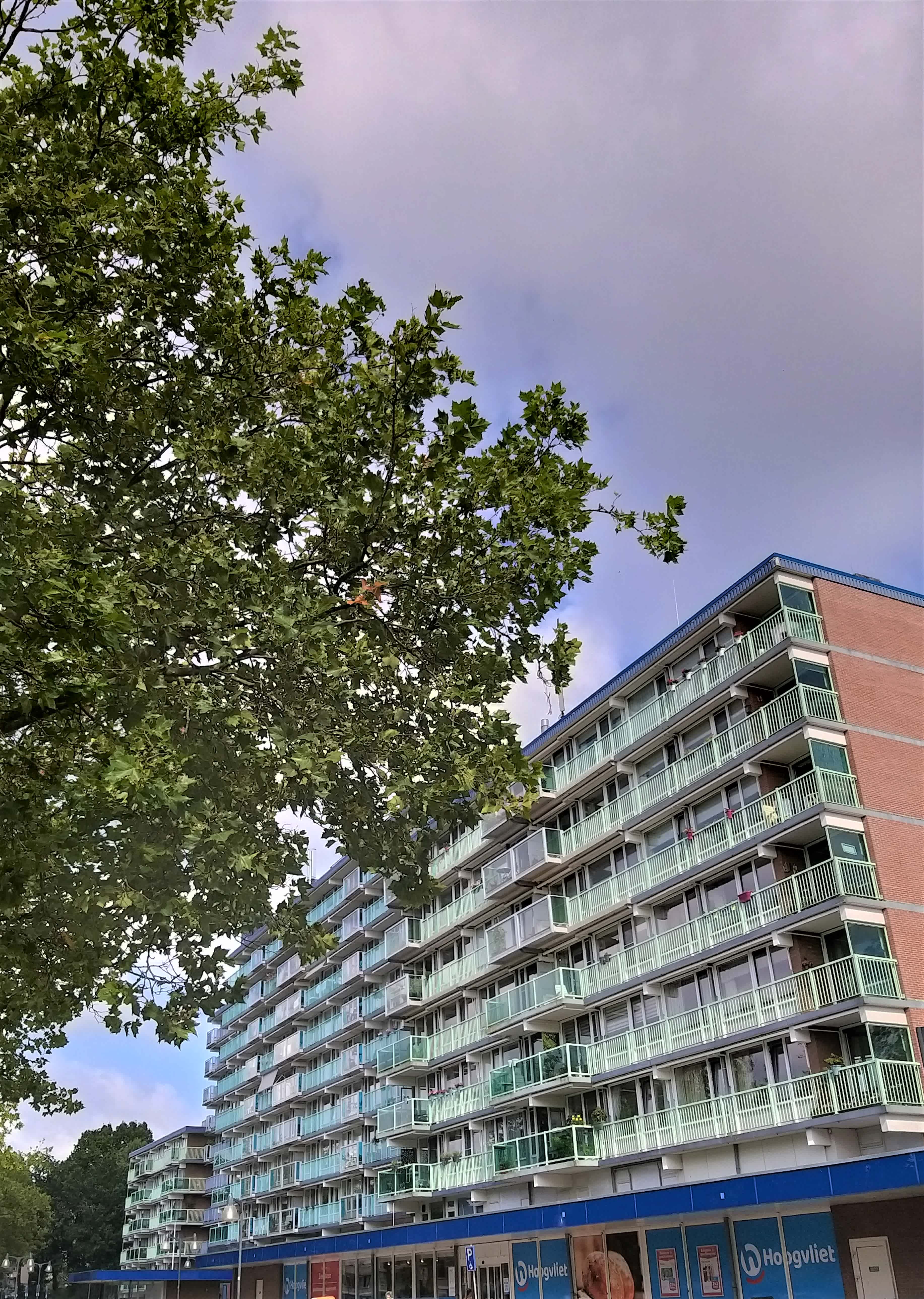 Wiardi Beckmanstraat 159 - Soest