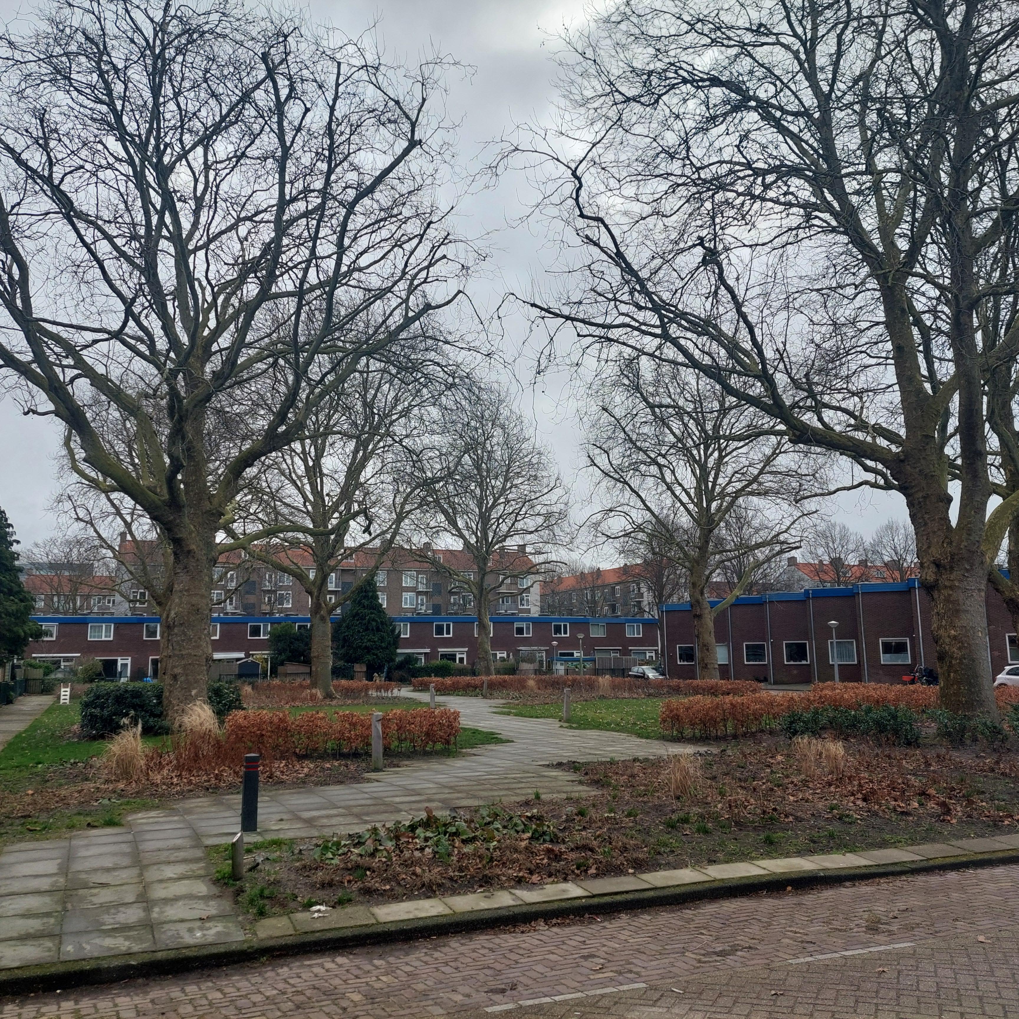 Marten Corverhof 8 - Amsterdam