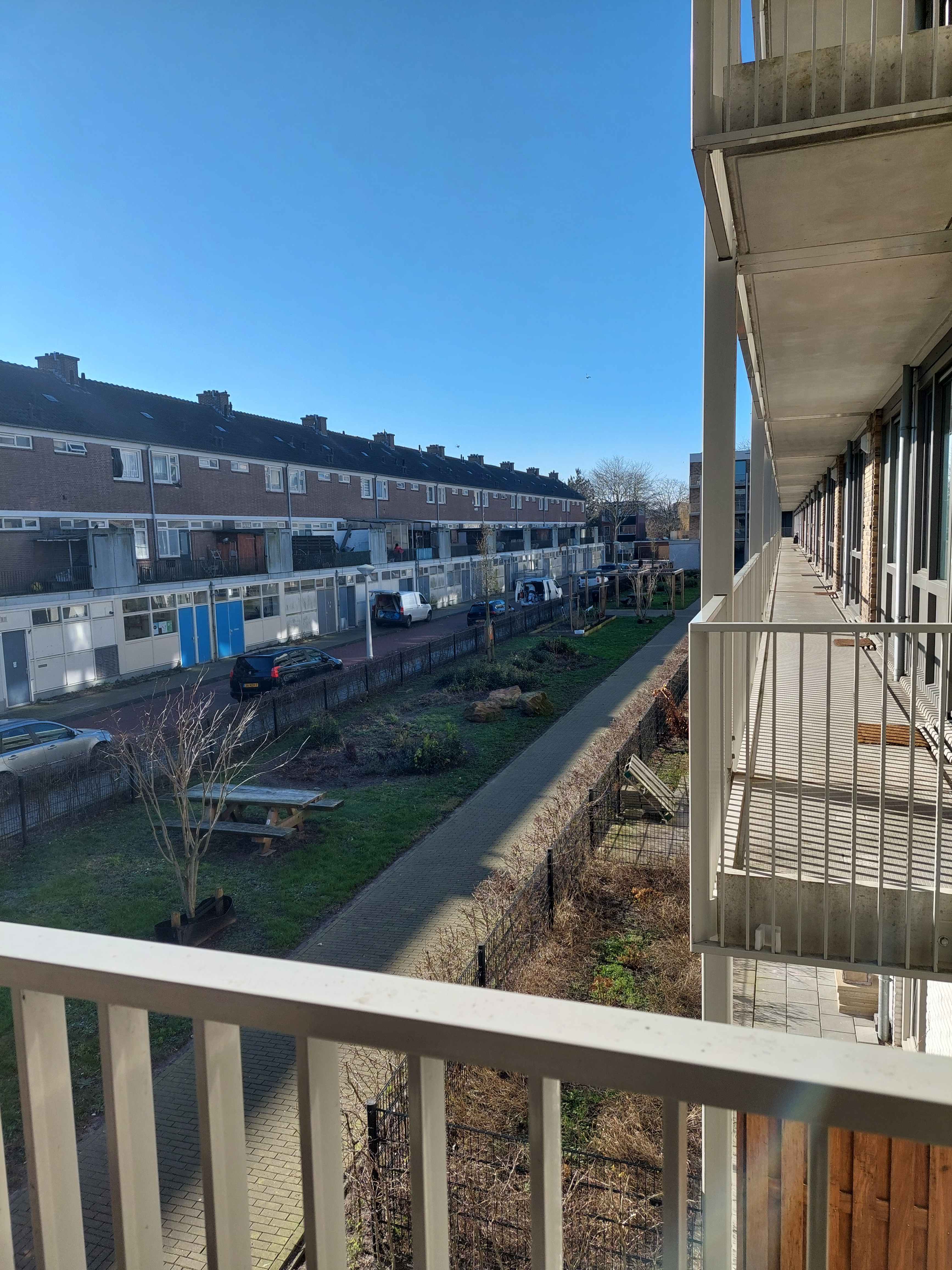 Paulus van Hemertstraat 23 - Amsterdam