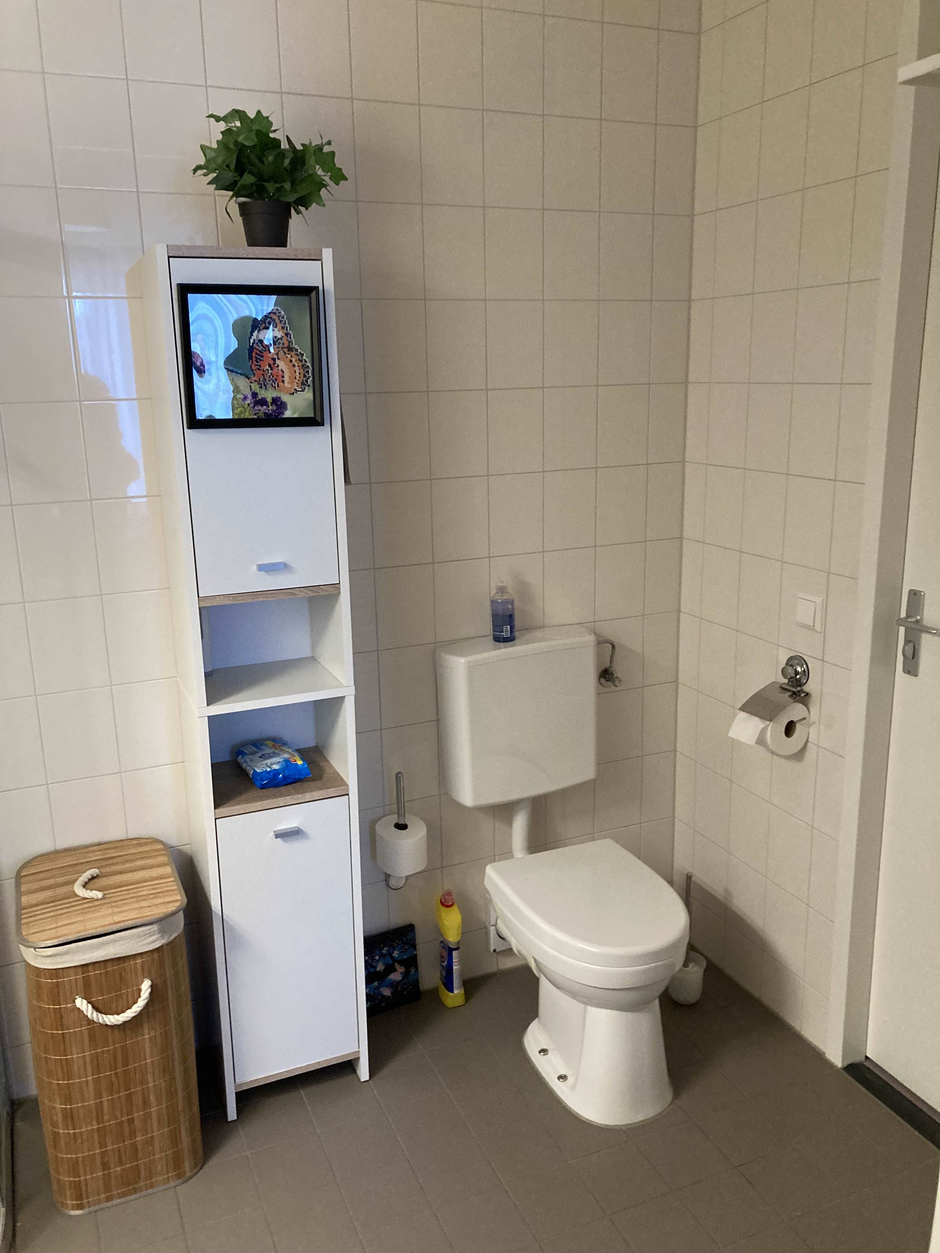 Frans van der Wielstraat 215 - Haarlem