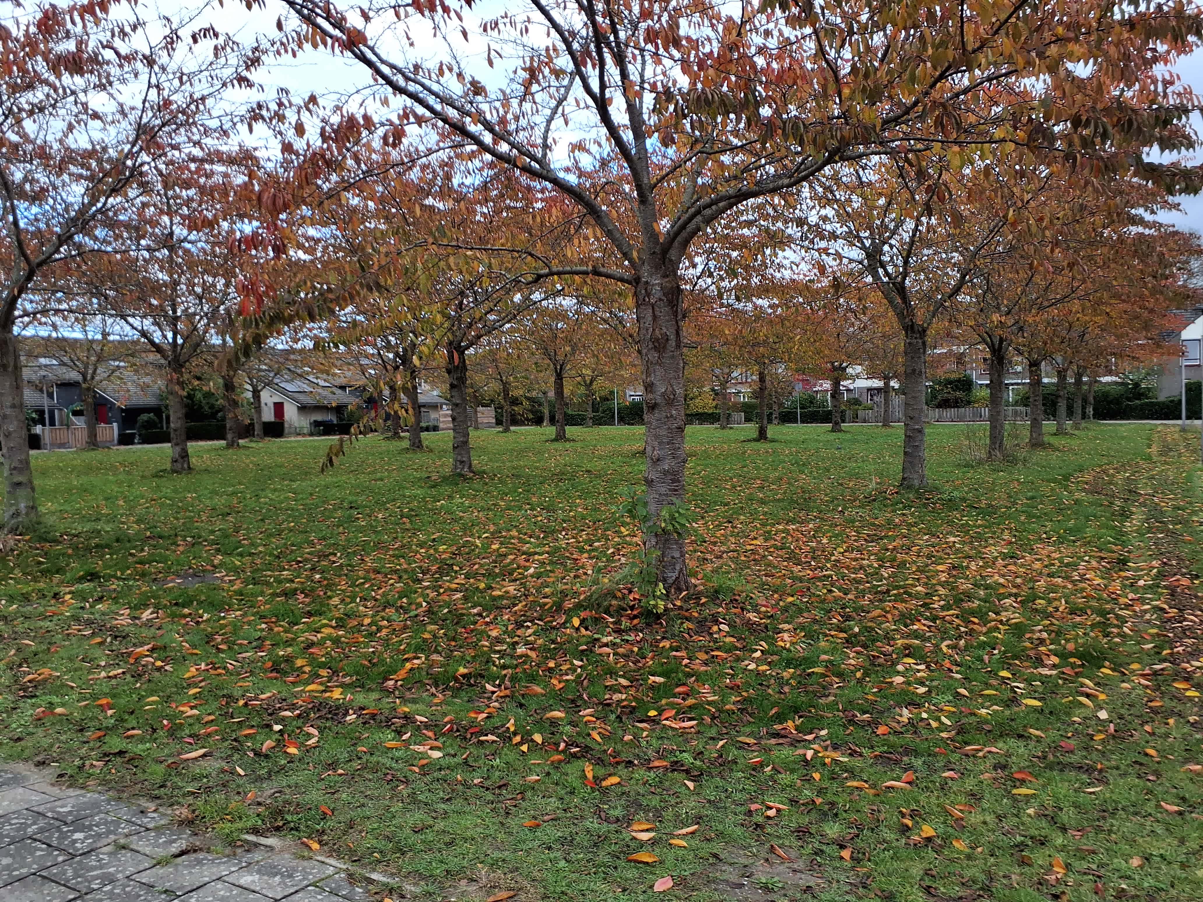 Ina Boudier-Bakkerhof 17 - Almere