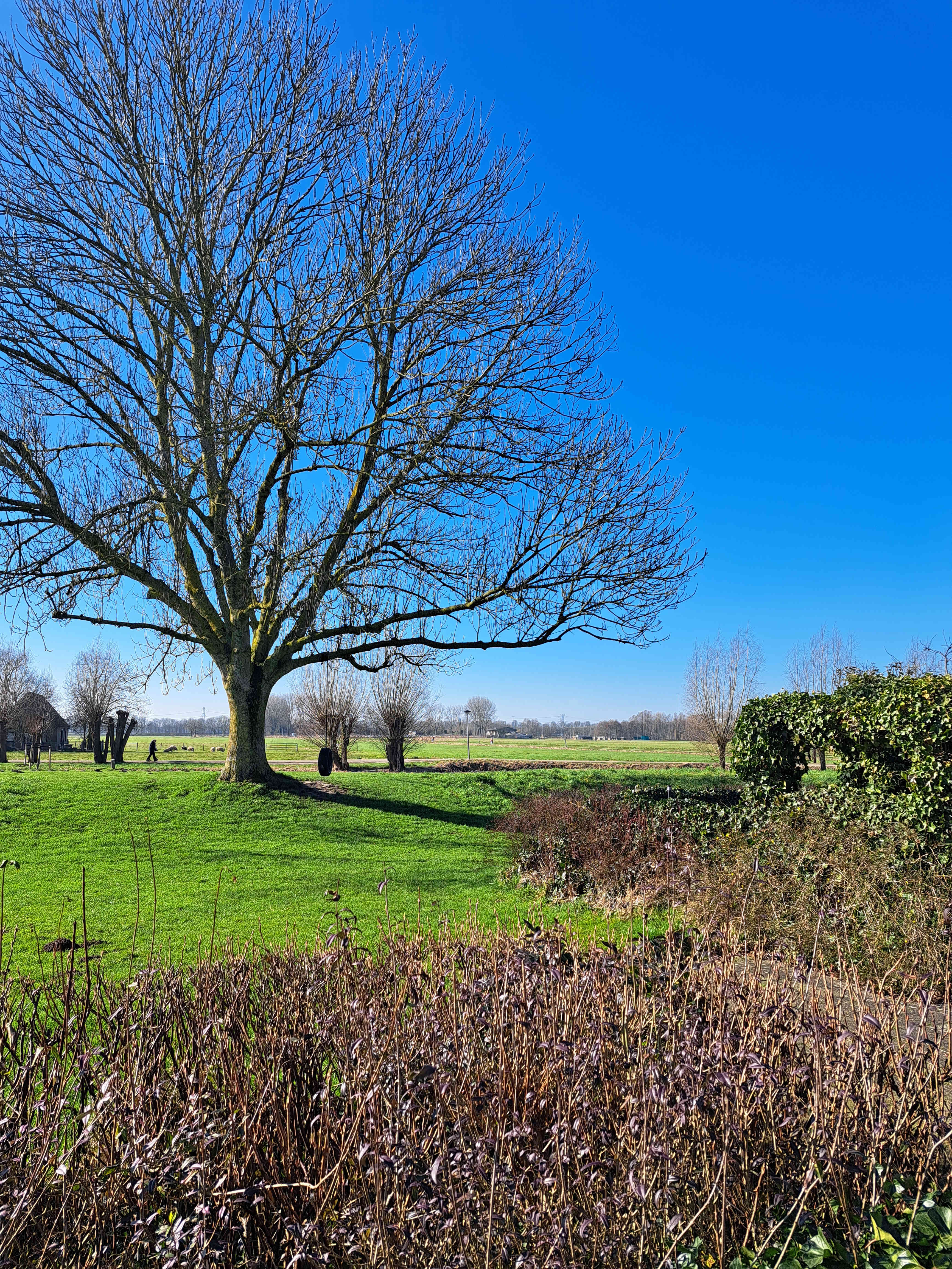 Lakenkopersweg 50 - Weesp