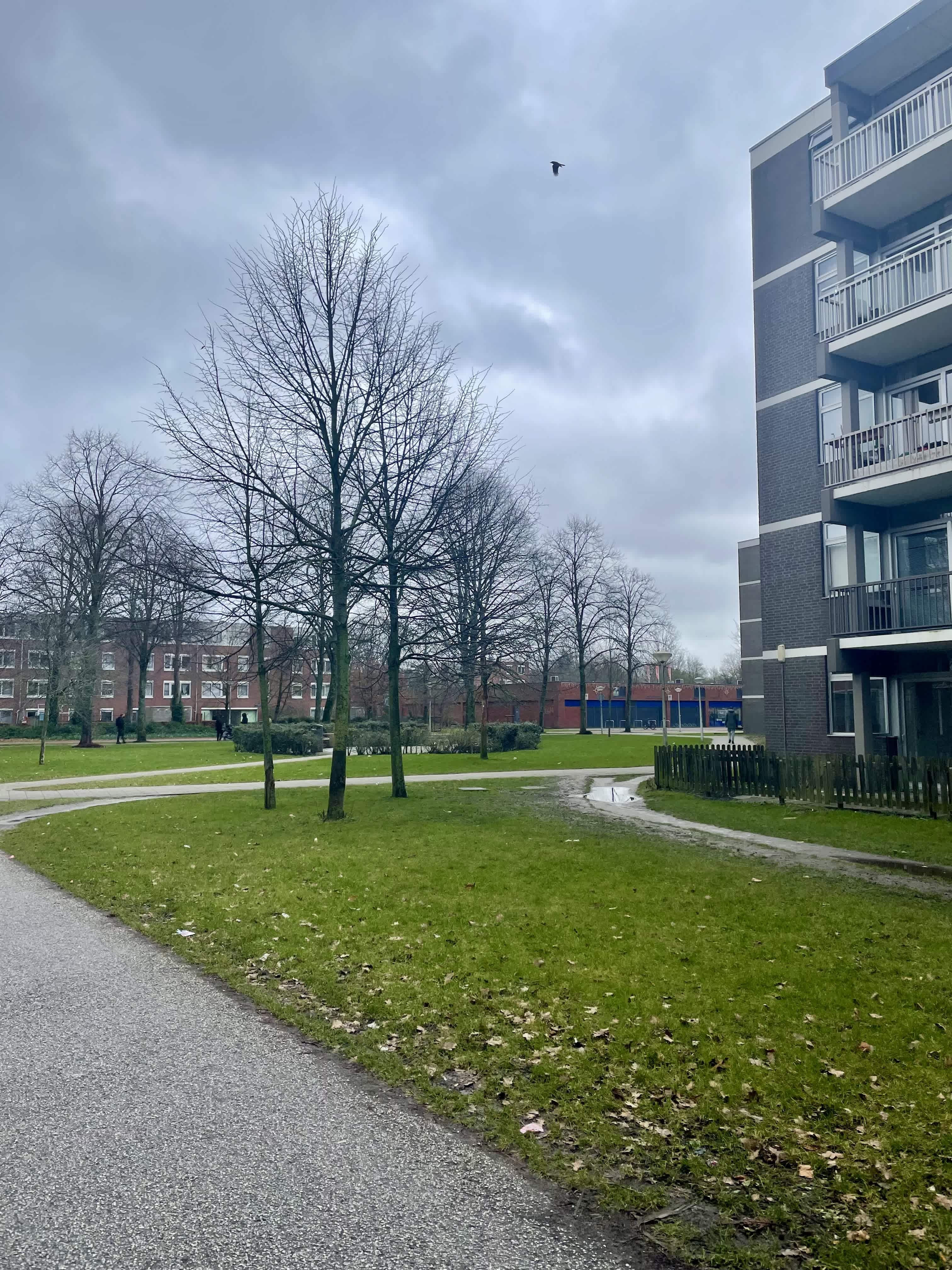 Niftrikhof 132 - Amsterdam